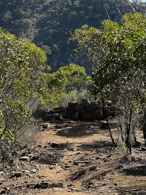 Werribee Gorge: In Which We Scramble Up Rocks and Learn Things