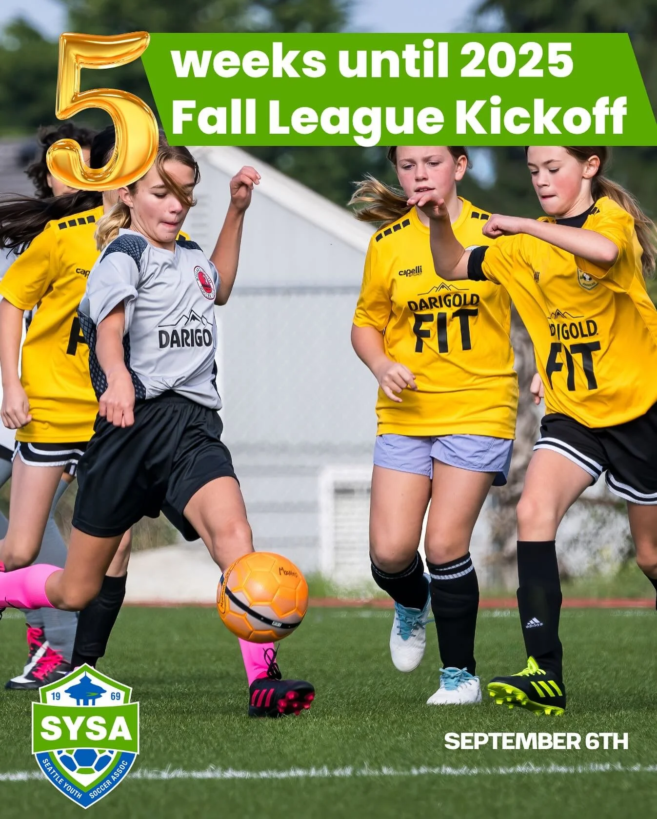 5 weeks until 2025 Fall League Kickoff! 

We are down to single hand counting for weeks left! 👋🏽

@darigoldnw #darigold