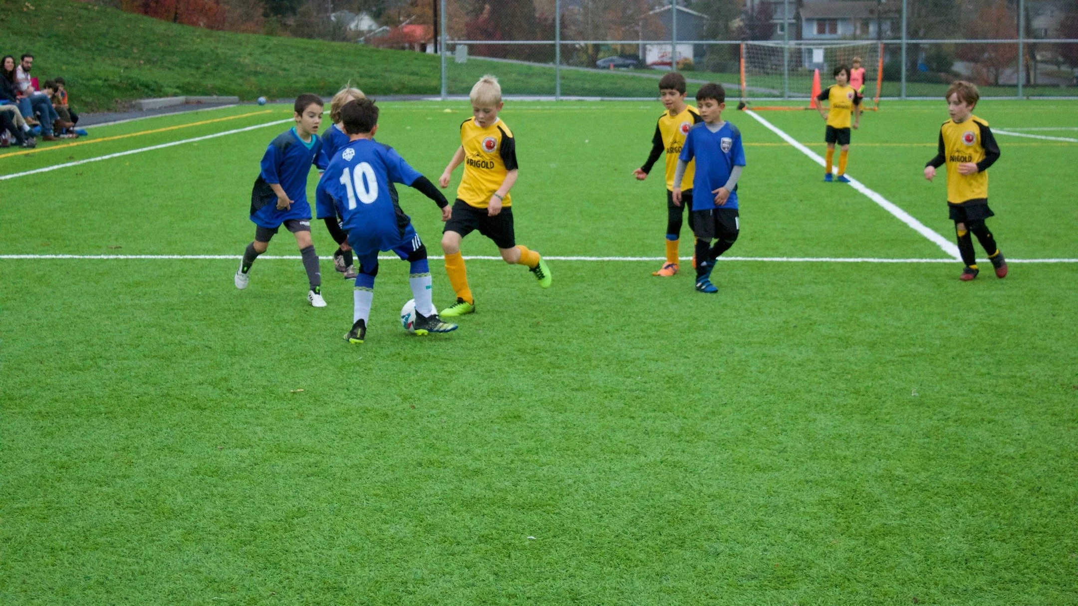 Highlights from the 2025 ACJ U8 &amp; U9 Boys 

@darigoldnw #darigold

#youthsoccer #youthsports #soccerseattle #recreationalsports #recreationalsoccer