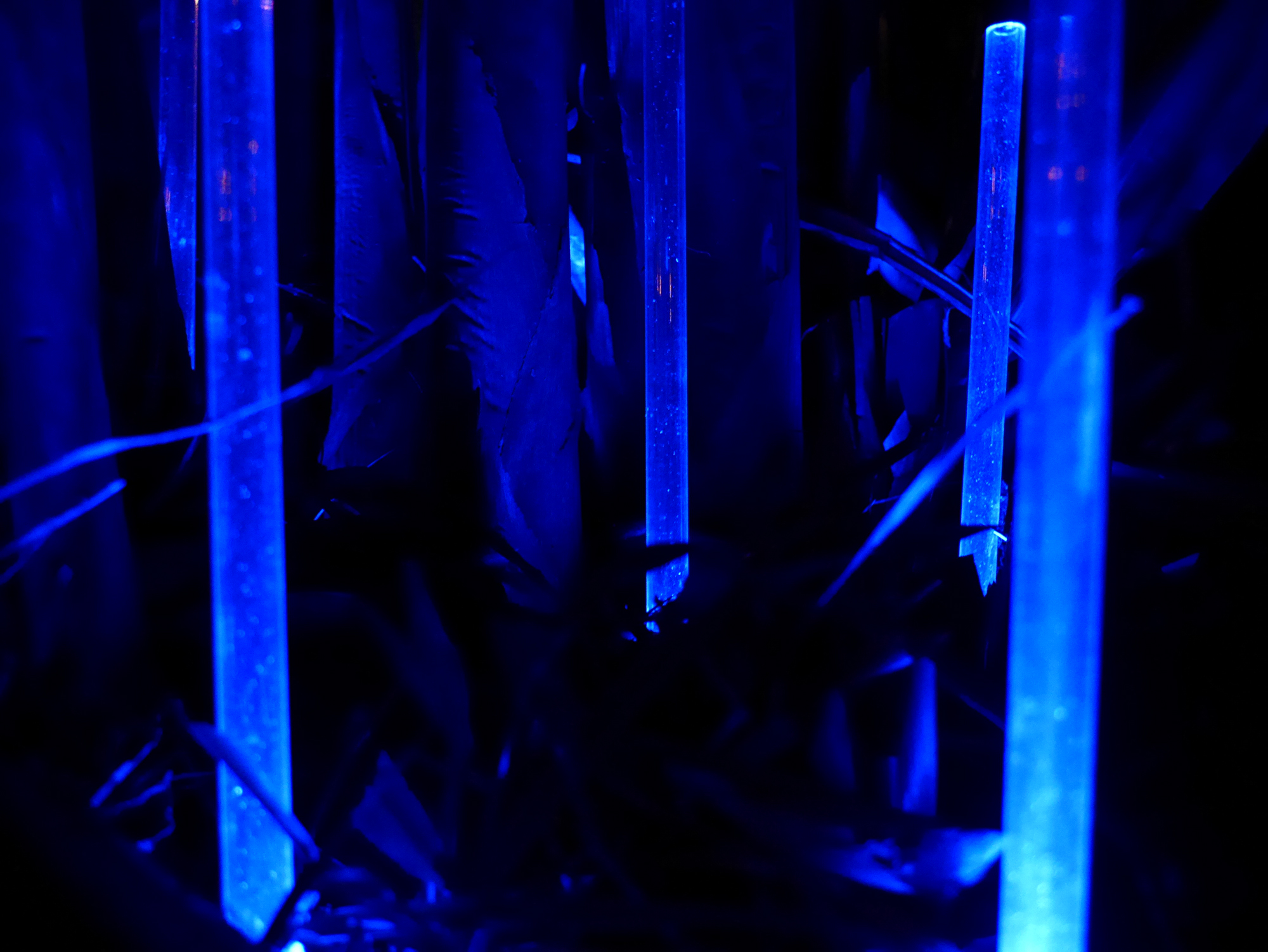 Annalise+Murphy+++Campos+De+Gutierrez+Artist+Residency+++Medellin,+Colombia++November+2015++Installation+Art,+Digital+Art,+Photography,+Ceramics,+Projection+Mapping (2).jpeg
