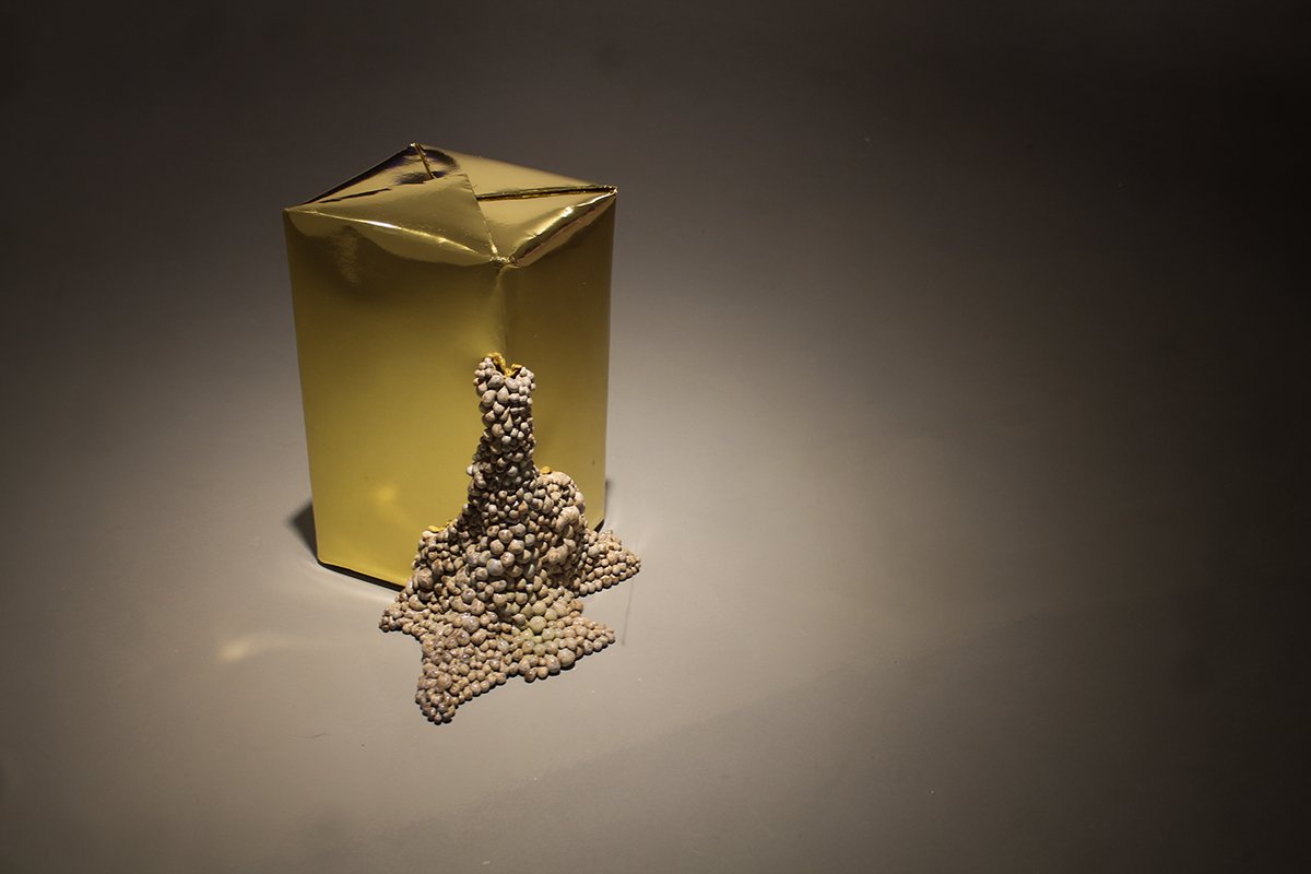 Annalise+Murphy+++Campos+De+Gutierrez+Artist+Residency+++Medellin,+Colombia++November+2015++Installation+Art,+Digital+Art,+Photography,+Ceramics,+Projection+Mapping (4).jpeg