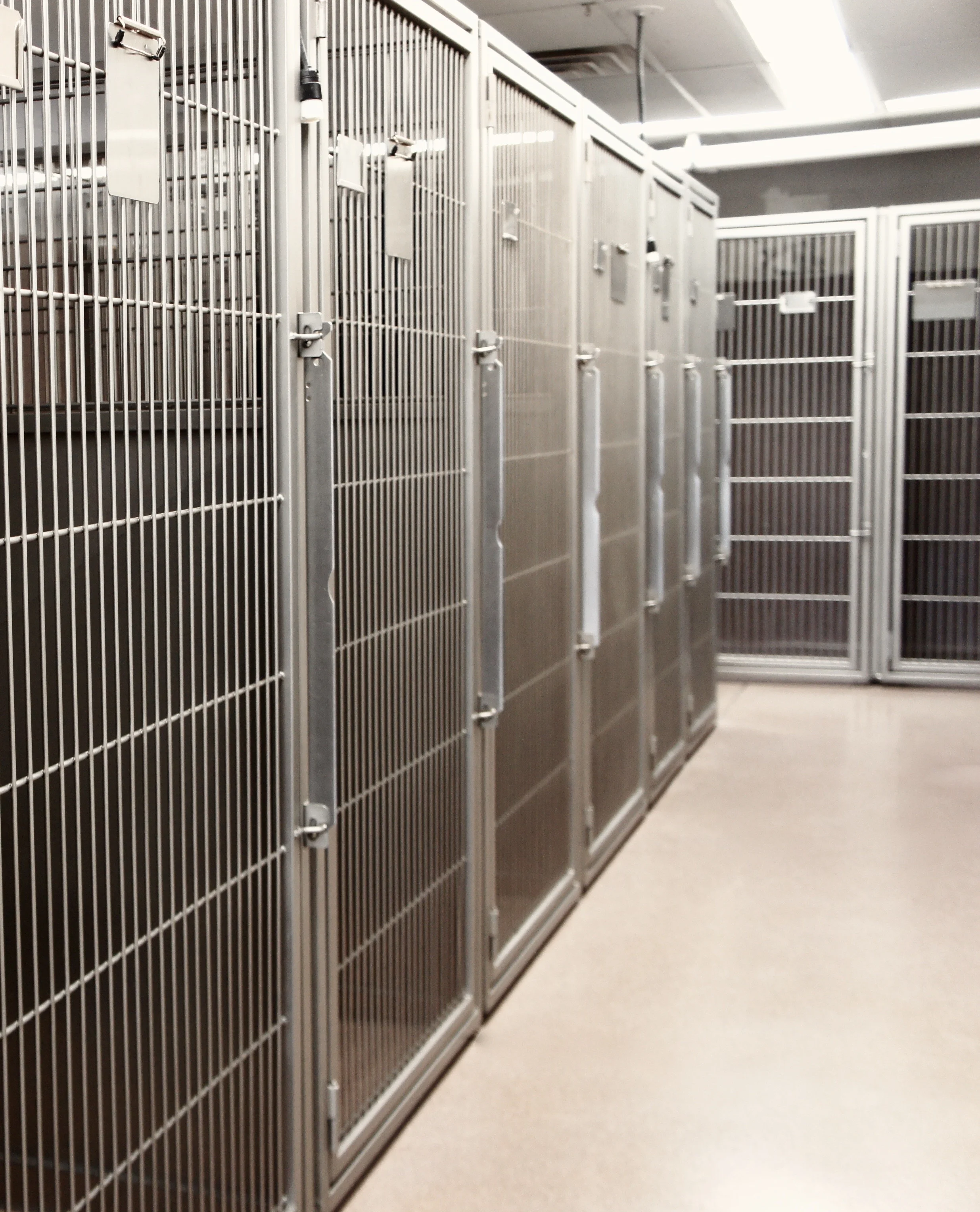 Boarding — Laytonsville Veterinary Practice