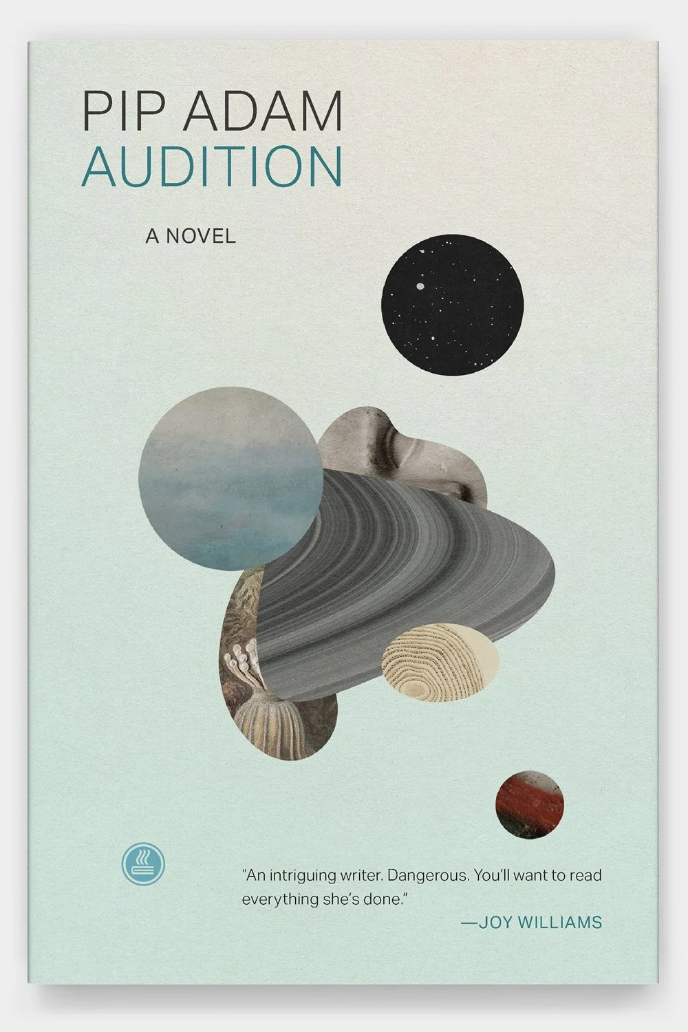 Pip Adam: Audition: A Novel (book cover)
