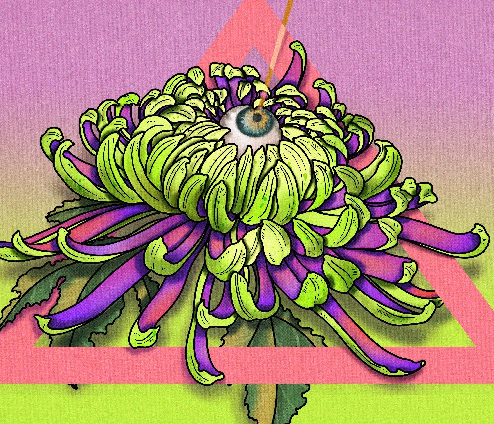 Chrysanthemum Flower I