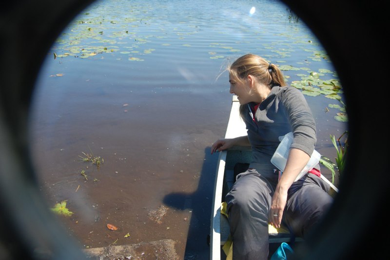 Researcher leaning out of a canoe to look into the water