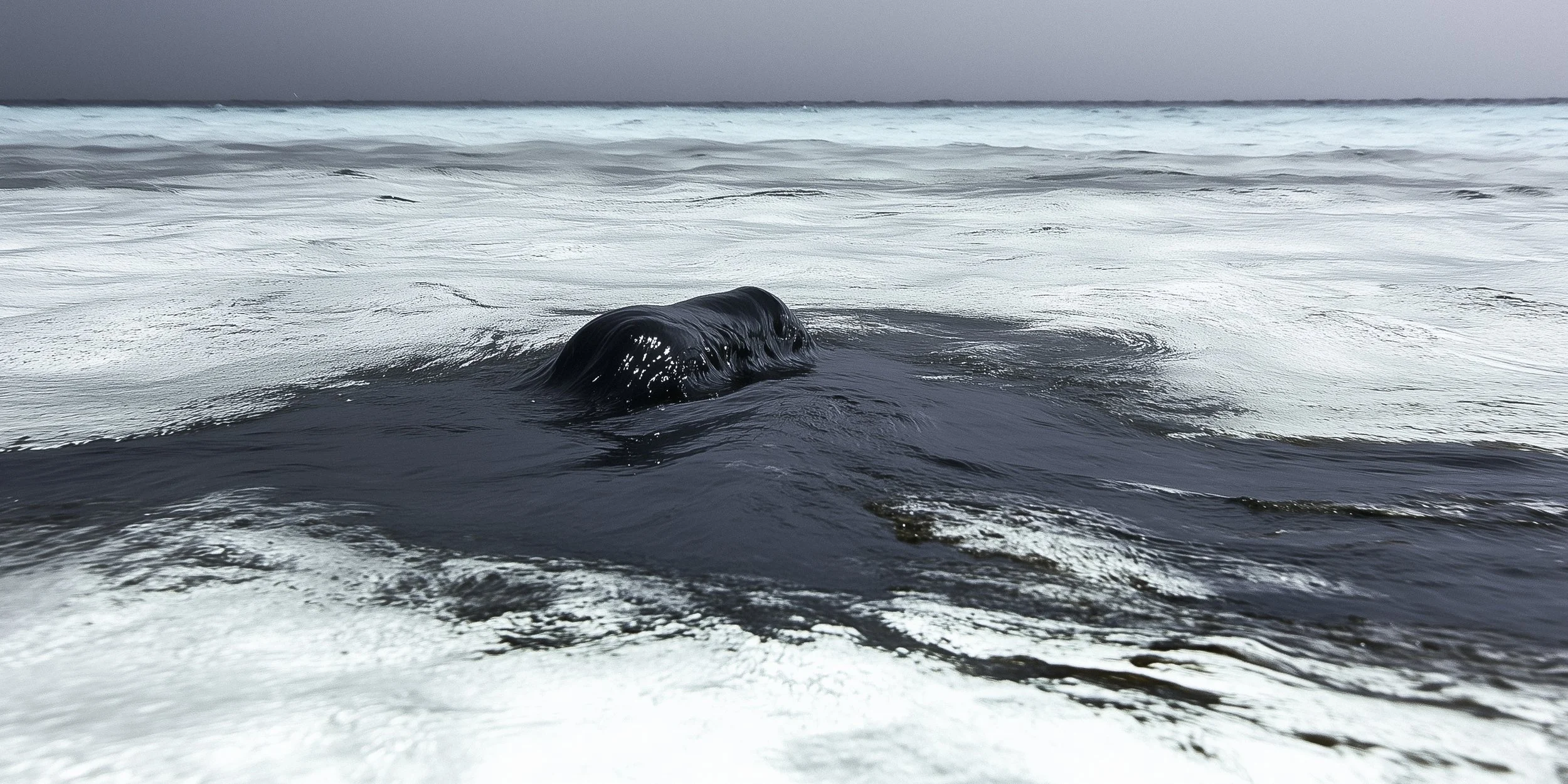 It's A Coal And Crude World by Mike Dugenio-22.jpg