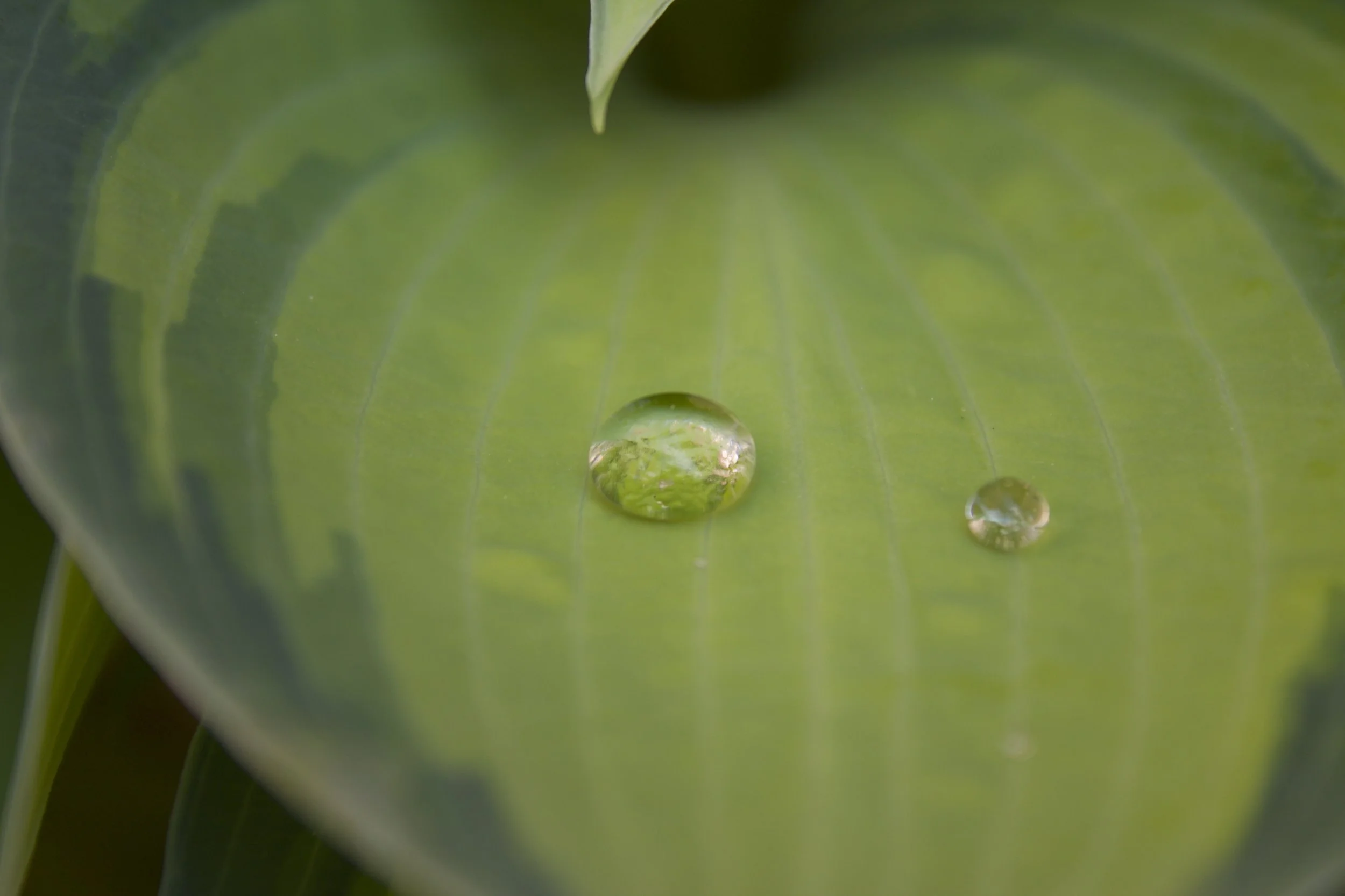 Art208_DelaneyCoffman_C1_Large Aperture3.JPG