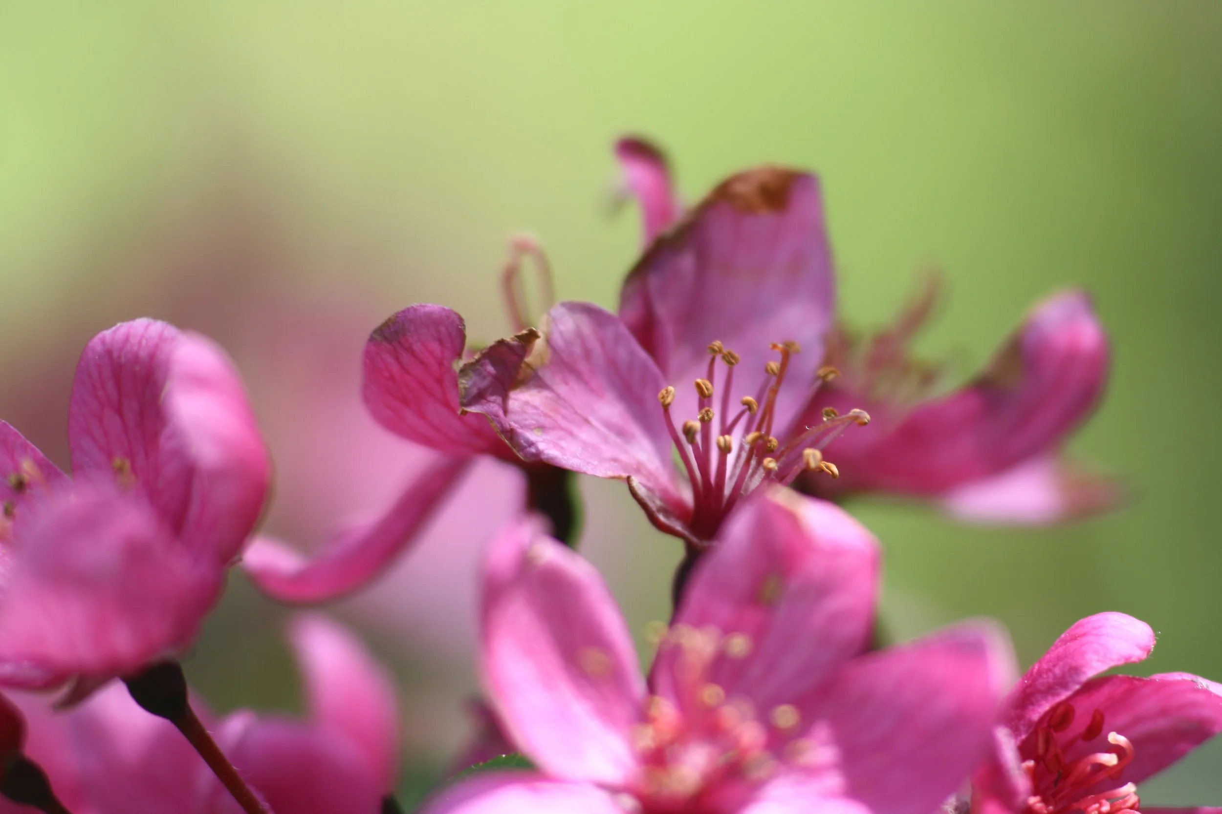 Art208_ellienabholz_C2_Low ISO2.JPG