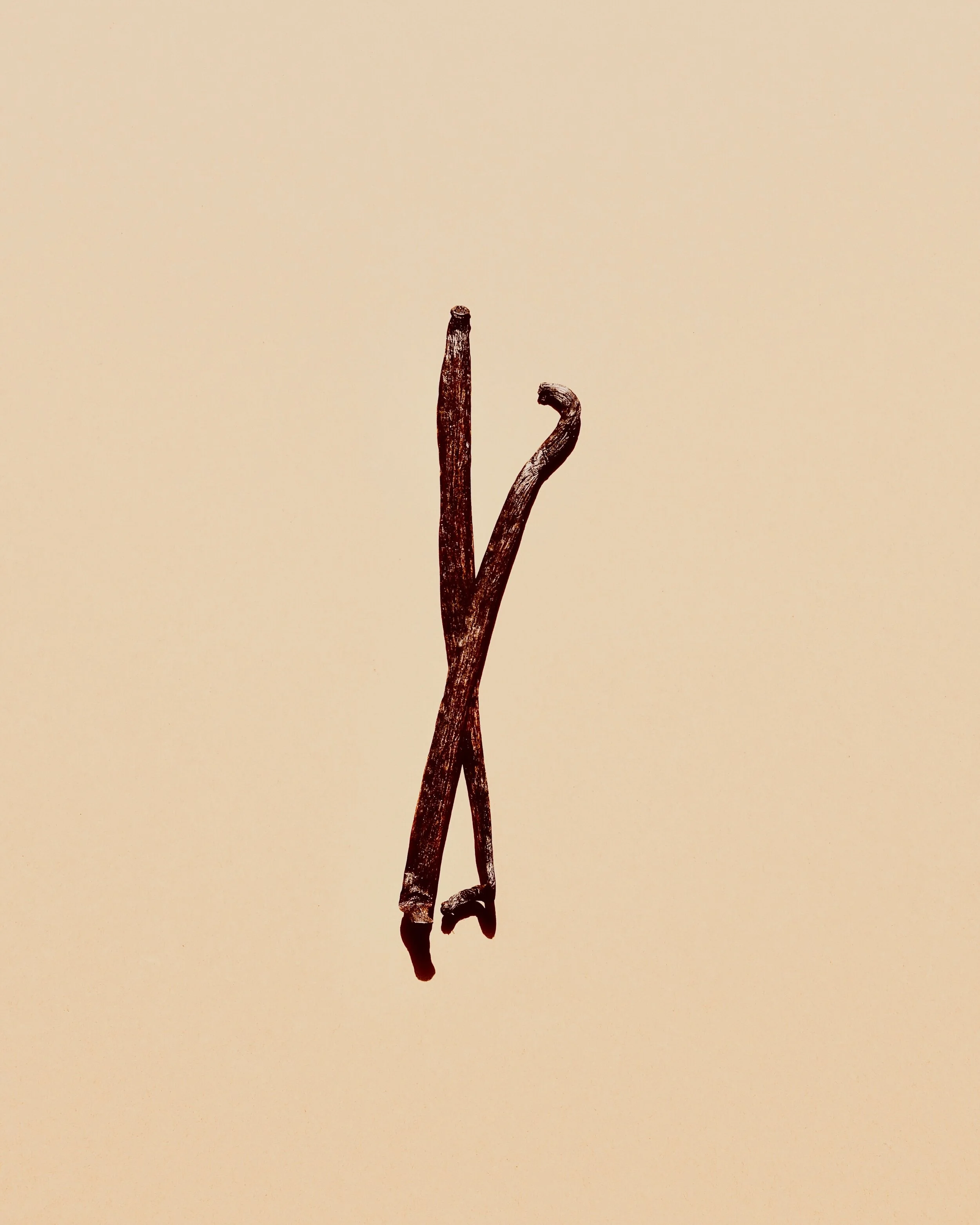 j-TYA9f8hYEX4-unsplash.jpg