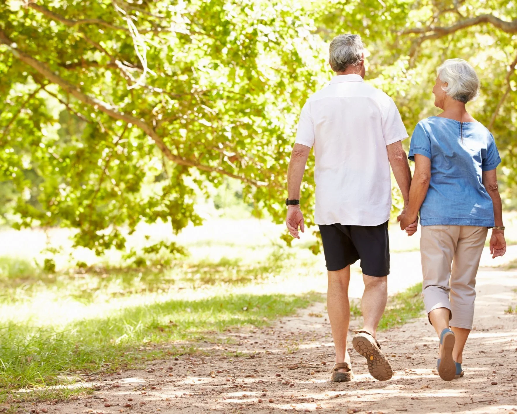 Rochester Springtime Activities For Seniors Lattimore Physical Therapy