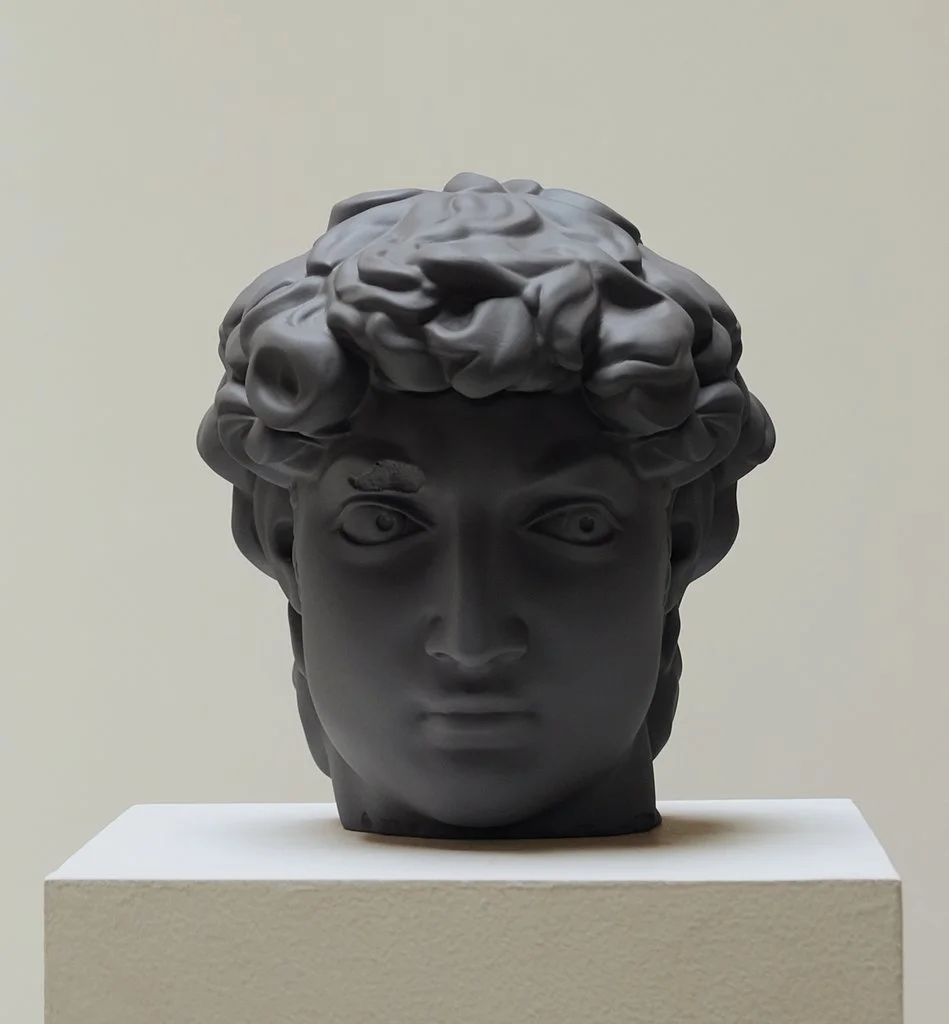 venus_brown_F_1024x1024.jpg