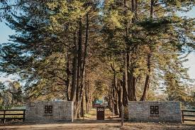 aruna gates.jpg