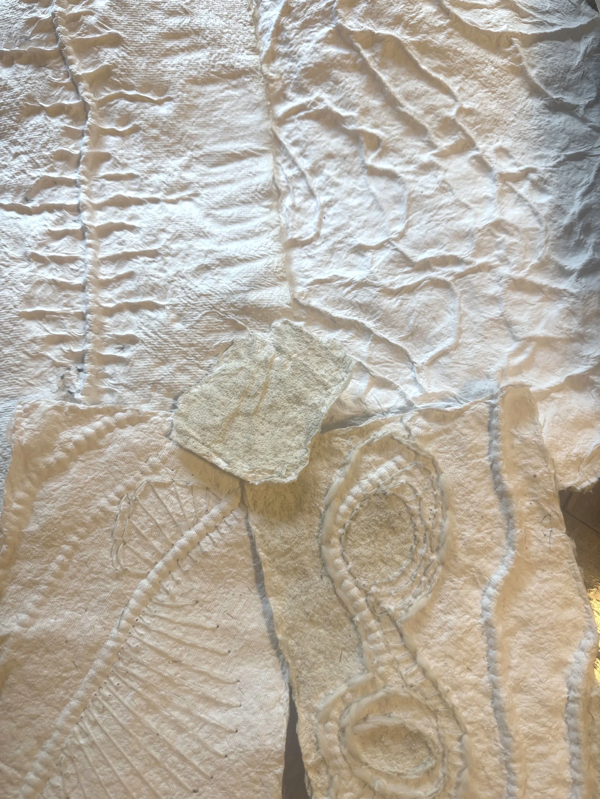Grief and beauty are not opposites.</span>