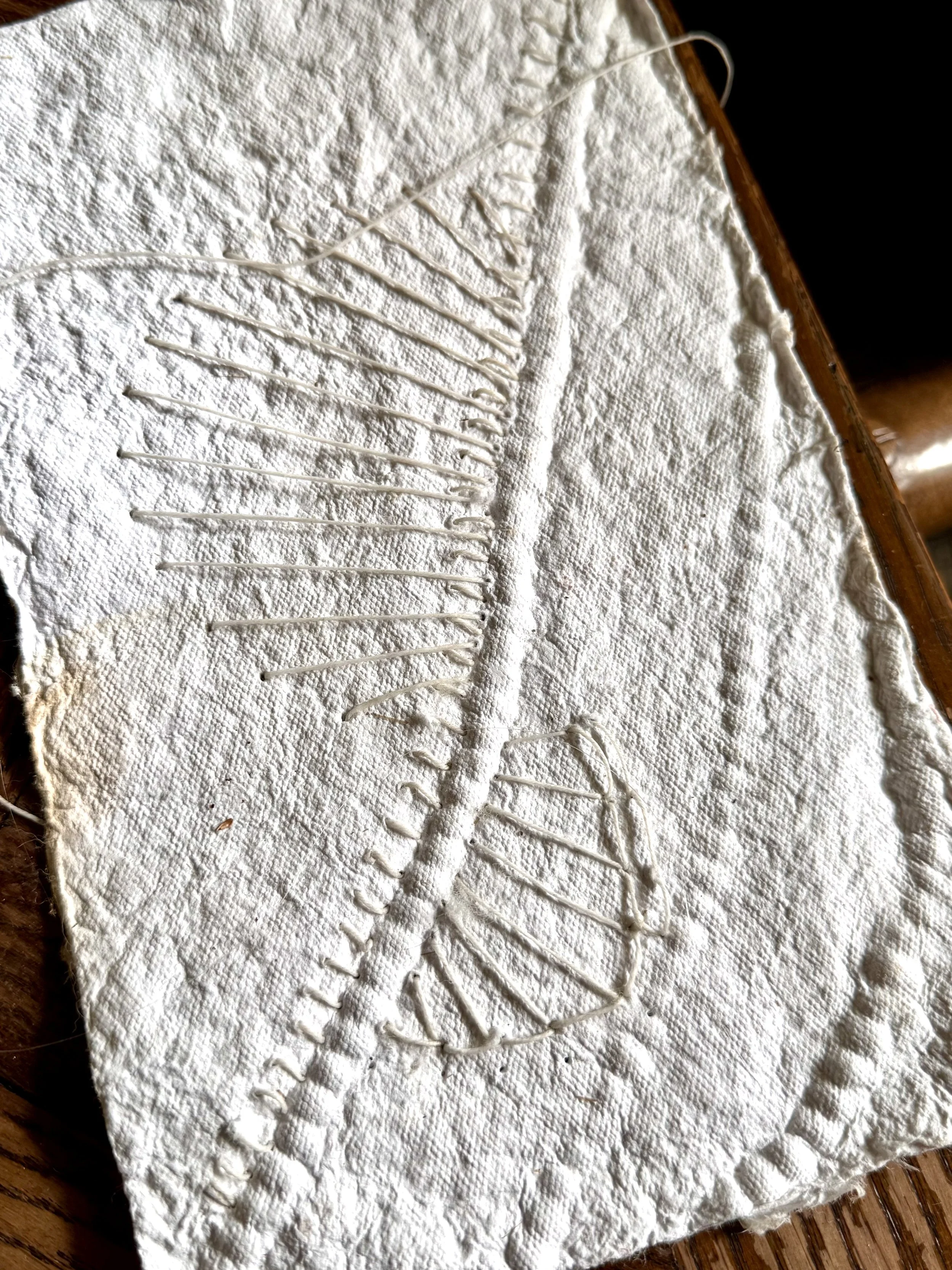 Alison Kennon Fibre art and stitching in the Southern Highlands nsw