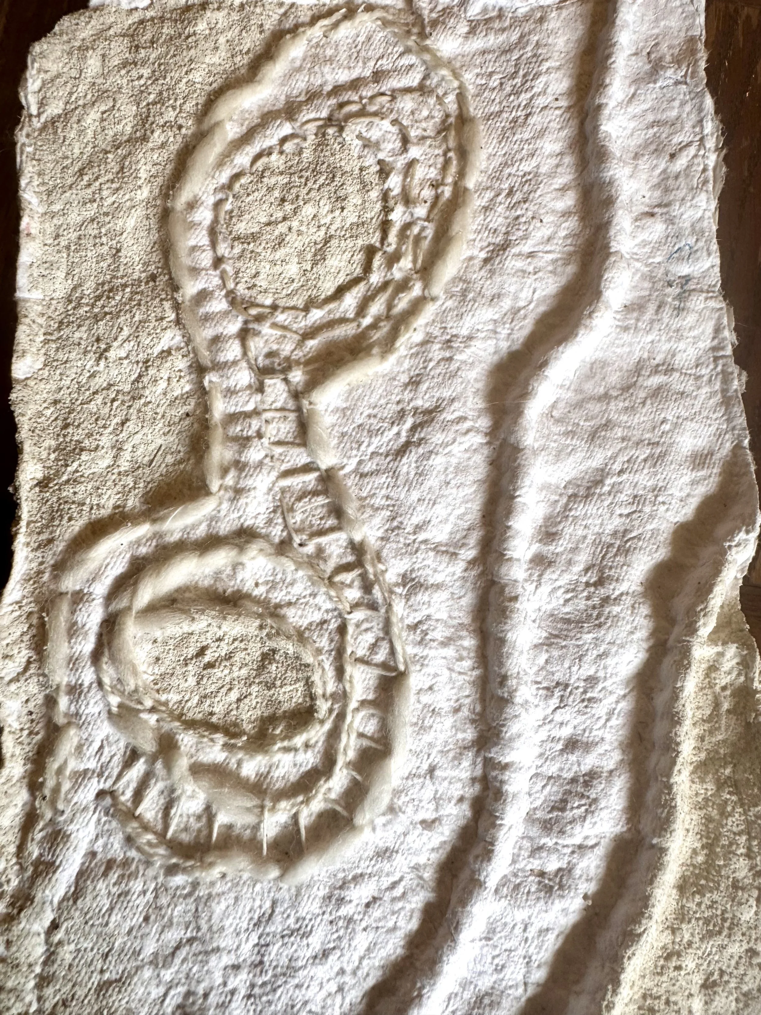 Fibre art in Bowral NSW Close-up of a fossilized ammonite embedded in a textured, light-colored rock.