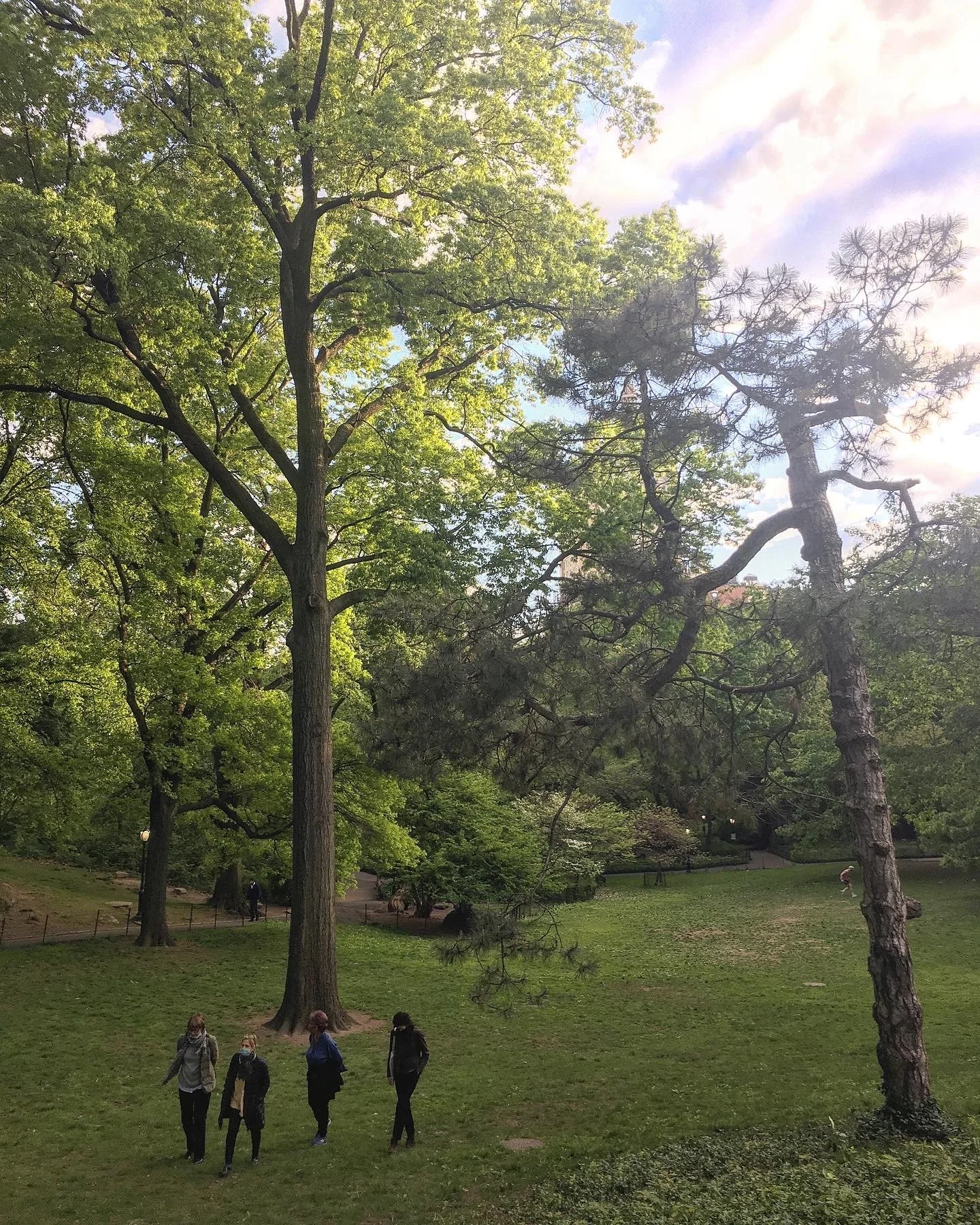 Shinrin-Yoku Sound Bath: Forest &amp; Sound Bathing in Central Park