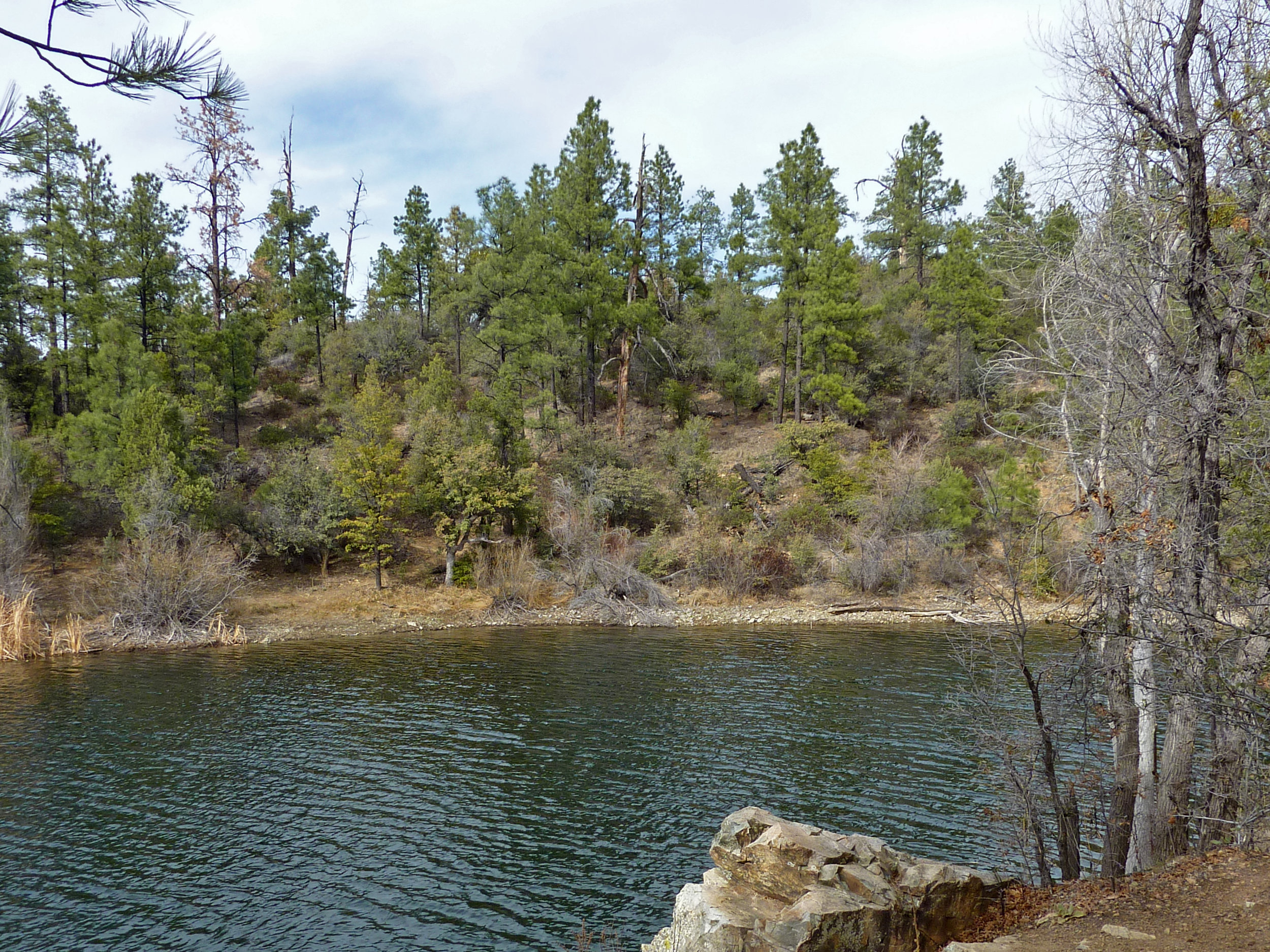 Lynx Lake is just minutes away from arbor heights