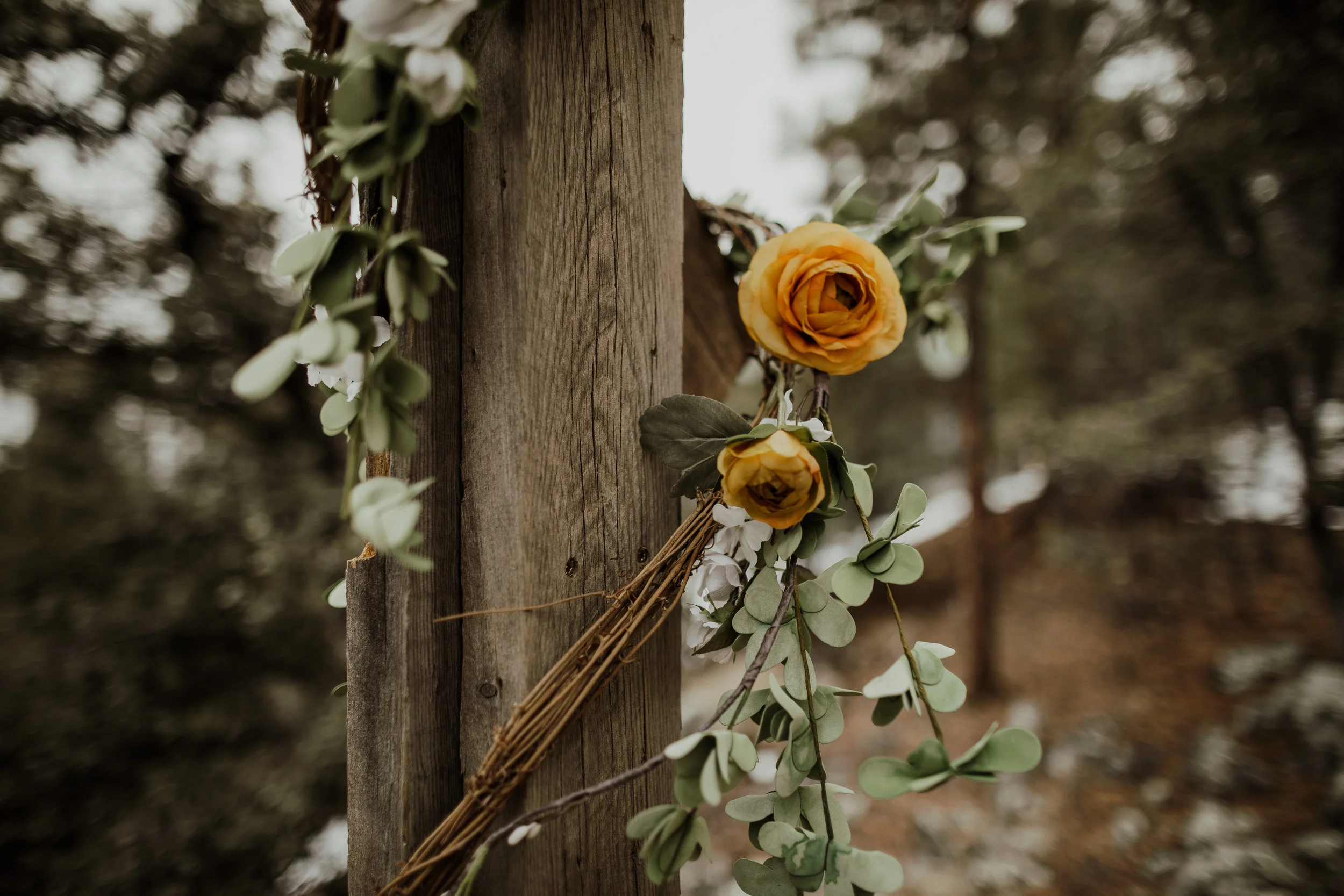 leah+rob-9.jpg