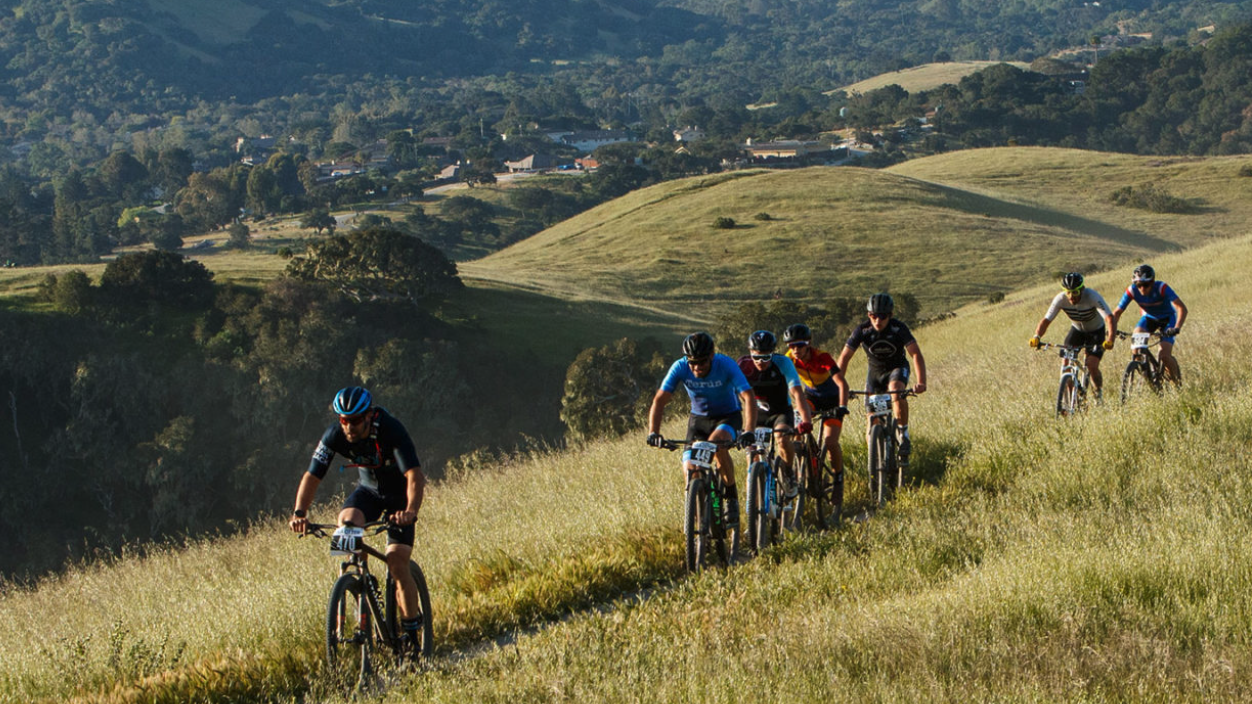 Screen Shot 2023-01-31 at 8.52.02 AM.png