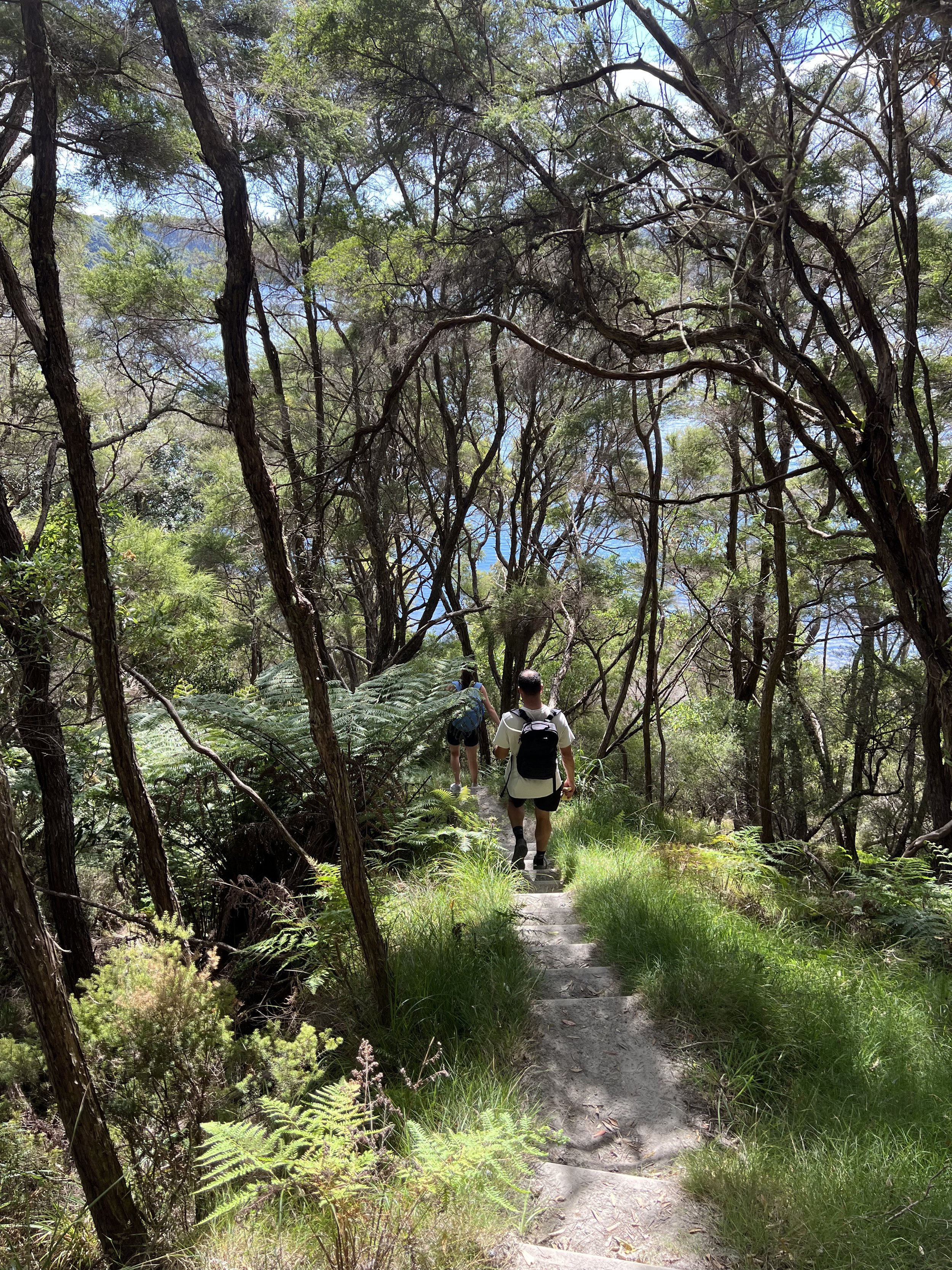 The Tarawera Trail
