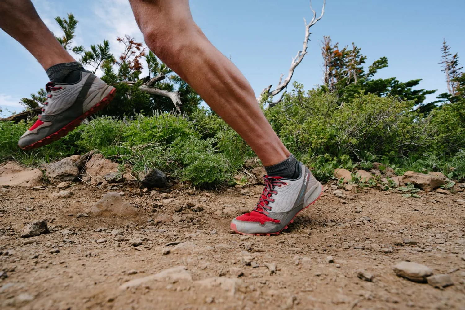 S19_MONTRAIL_BR_OR_8511.jpg