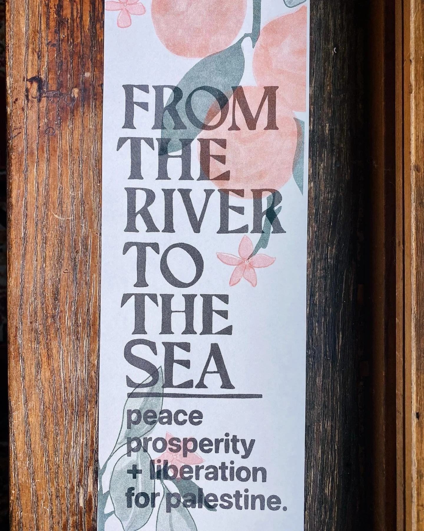 oranges, watermelons, and my unwavering commitment towards a world without genocide. 
+ a loving reminder that anti-genocide is not anti-Semitic, and we have the choice to work together in peace against the systems designed to divide us. 
these fly