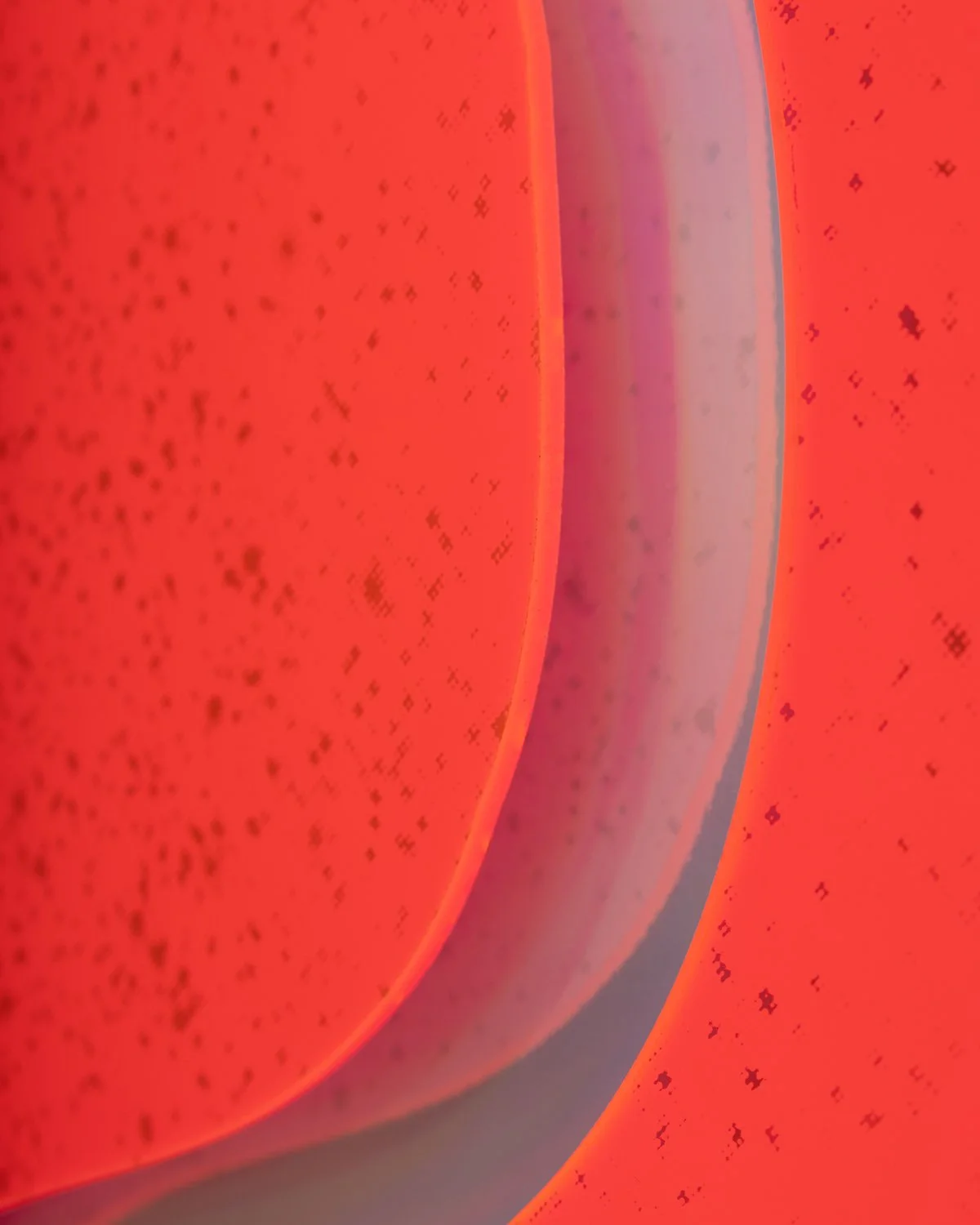 RachelDelmotte_Artwork_AnywayTheLight_05.jpg