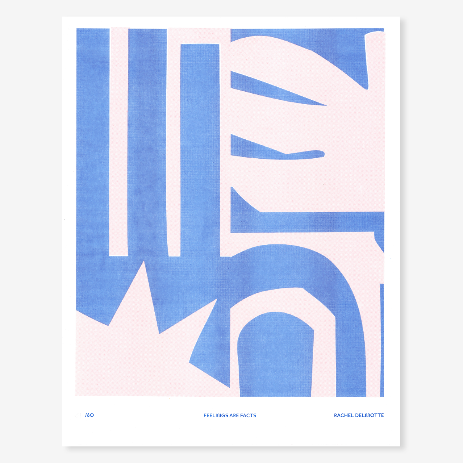 FeelingsFacts_Cover_RachelDelmotte.png