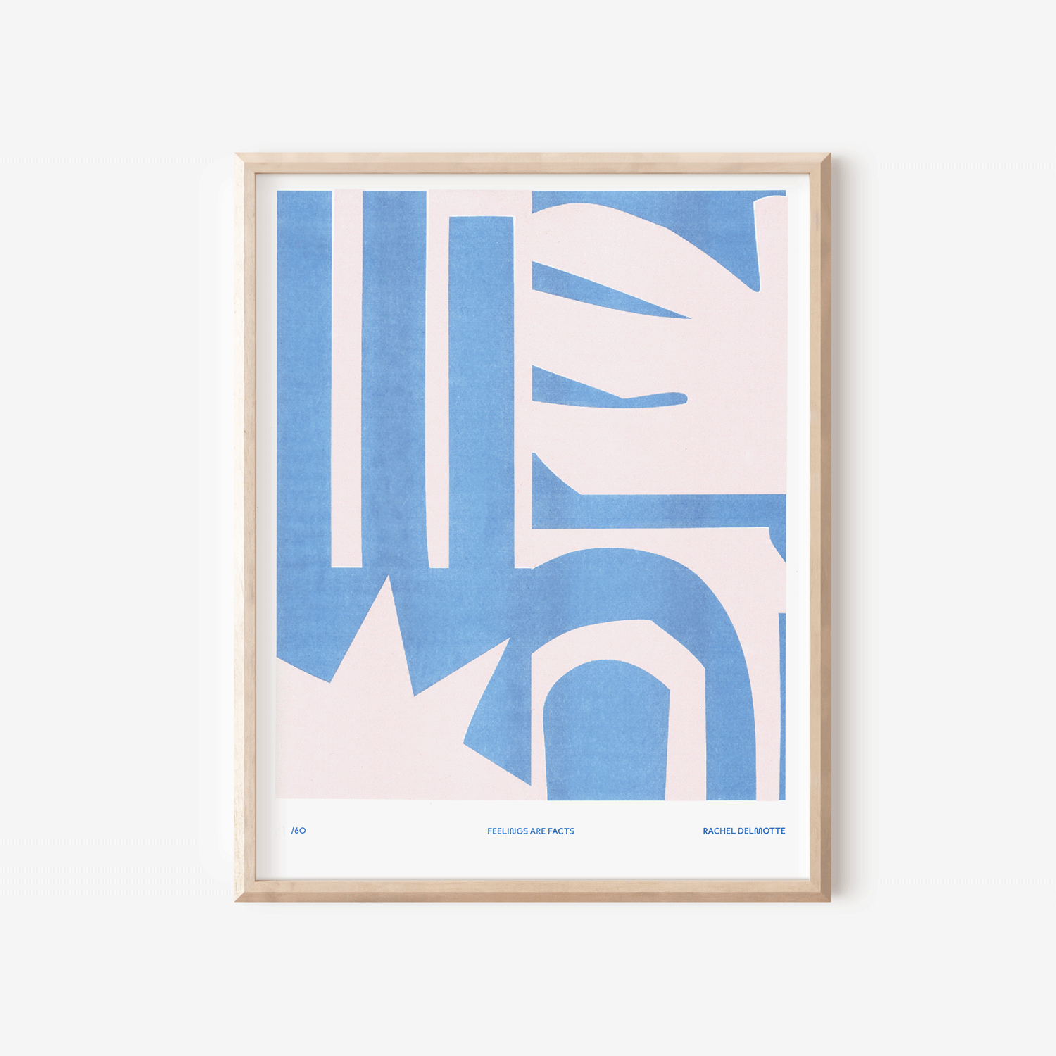 FeelingsFacts_Framed_RachelDelmotte.png