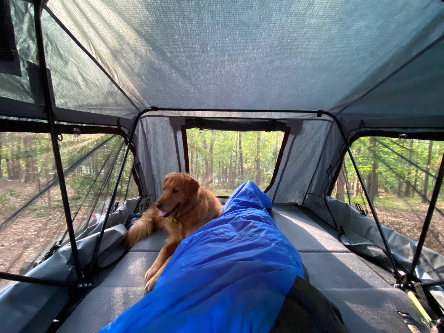 テントテン　ラクタープ Replacement Tent - New Style — TENTRAX