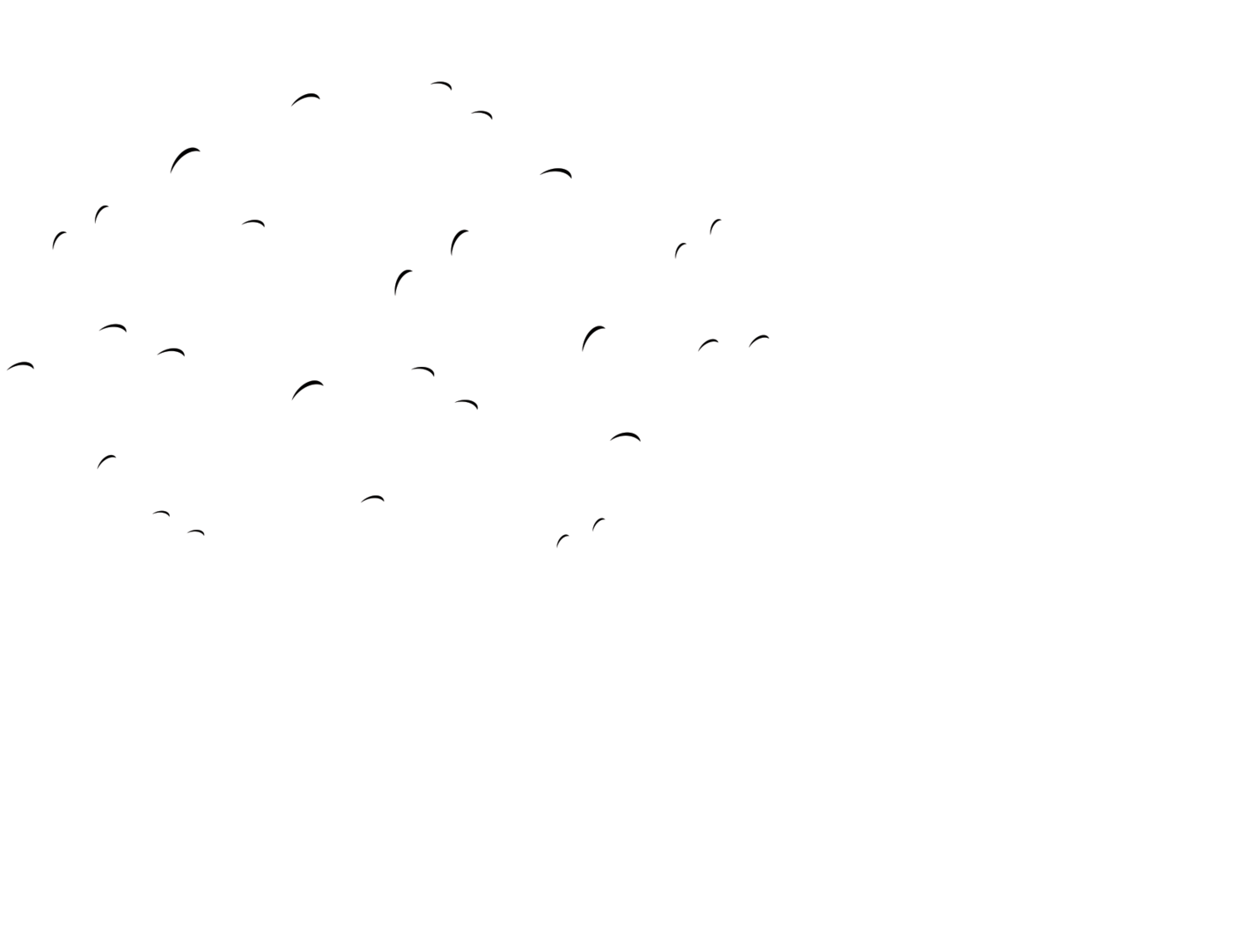 Vezzoso School of Music