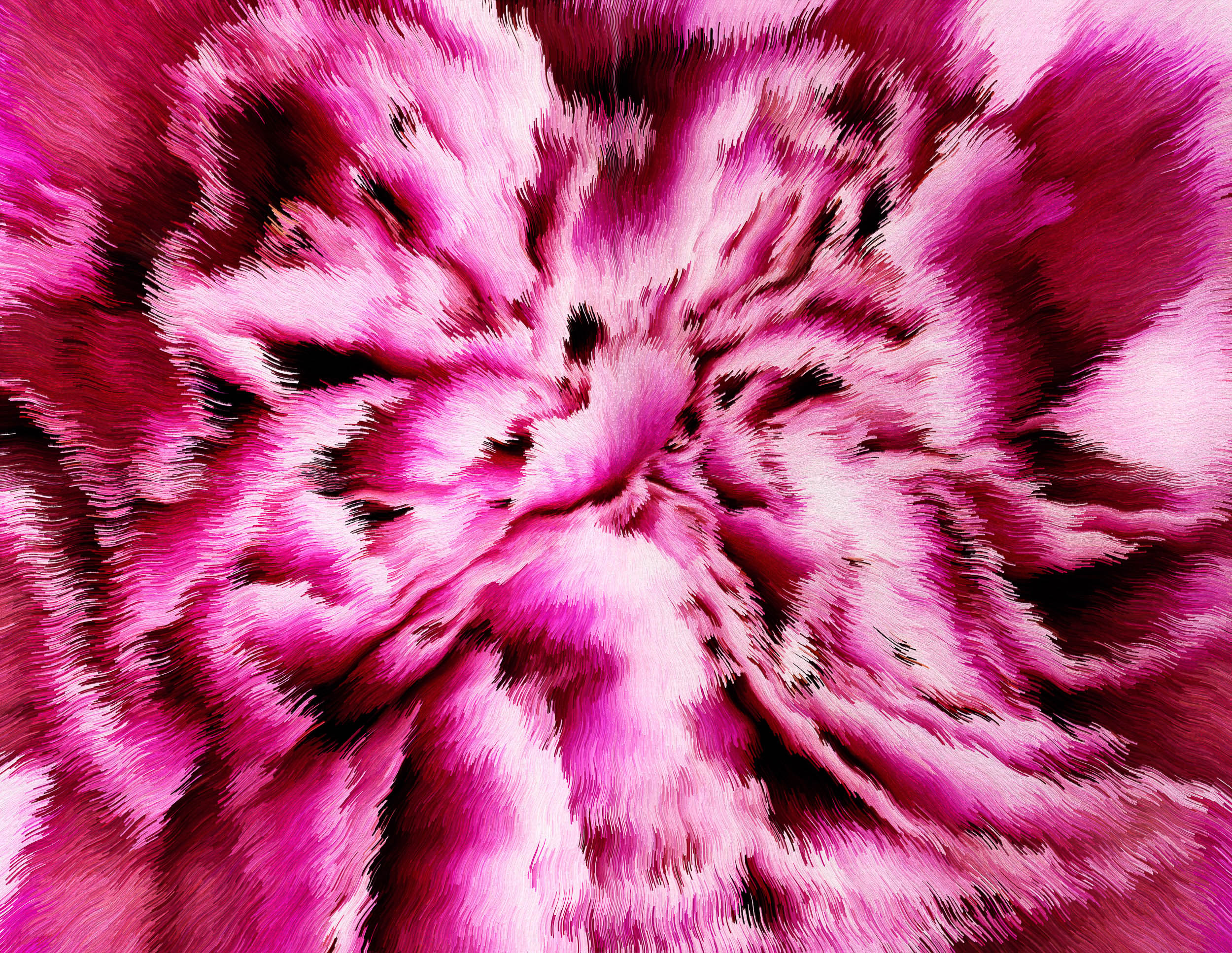 MAGENTA CARESS 100cm.jpg