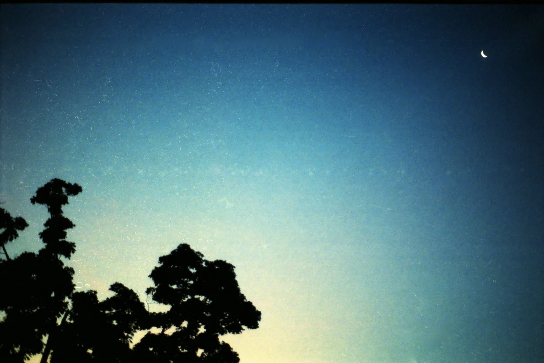 early morning1.jpg