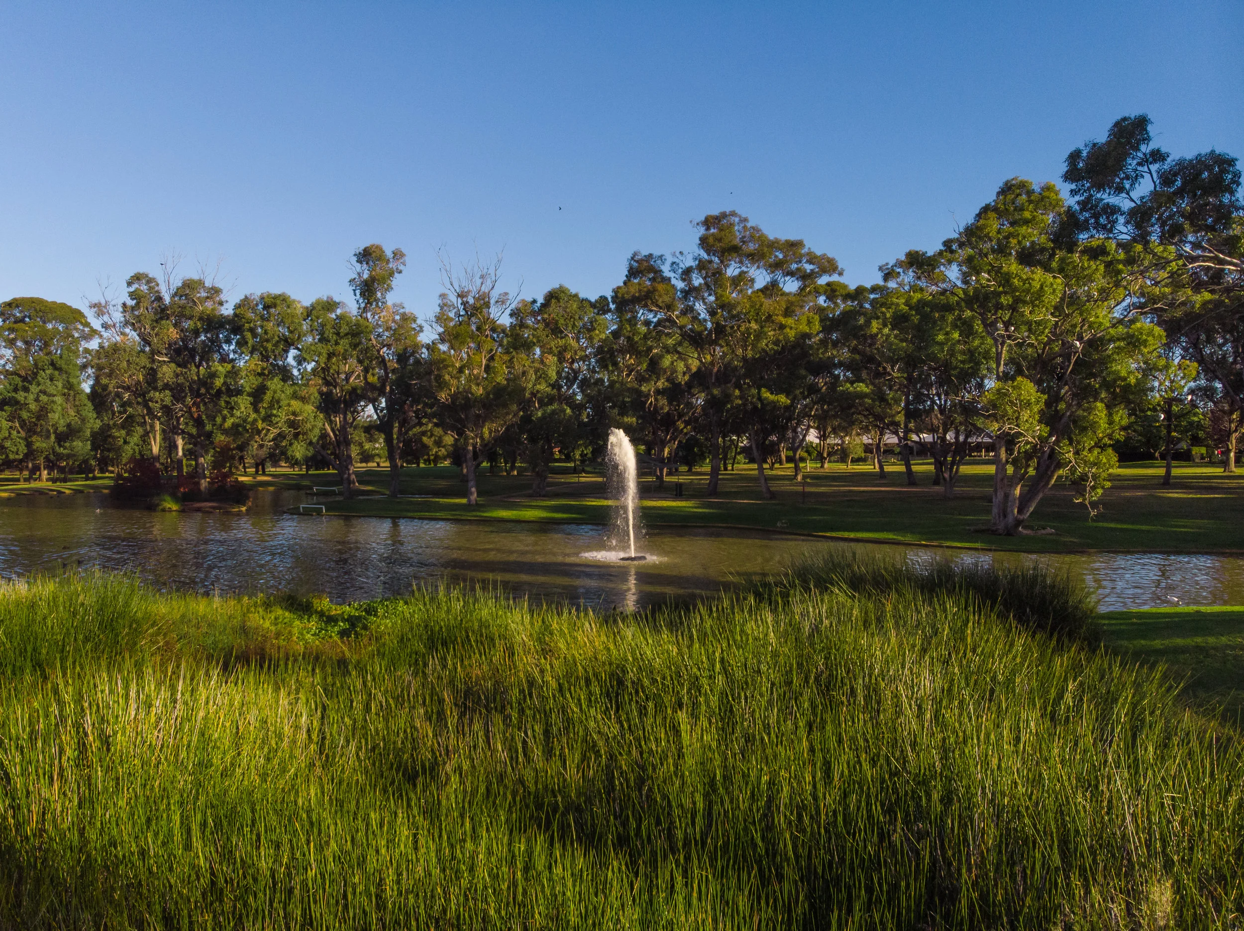 Surrounding gardens at Delroy Park