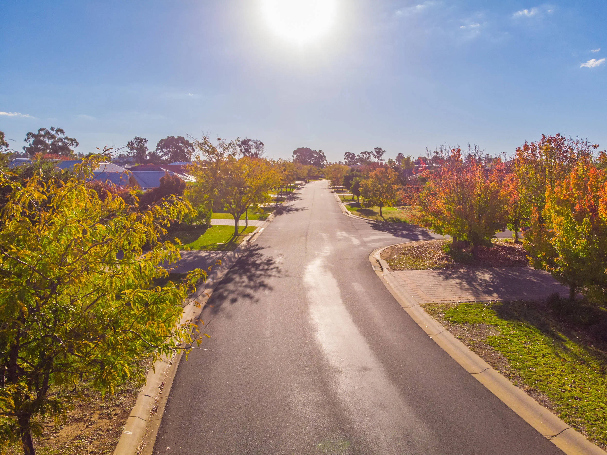 Surrounding gardens at Delroy Park