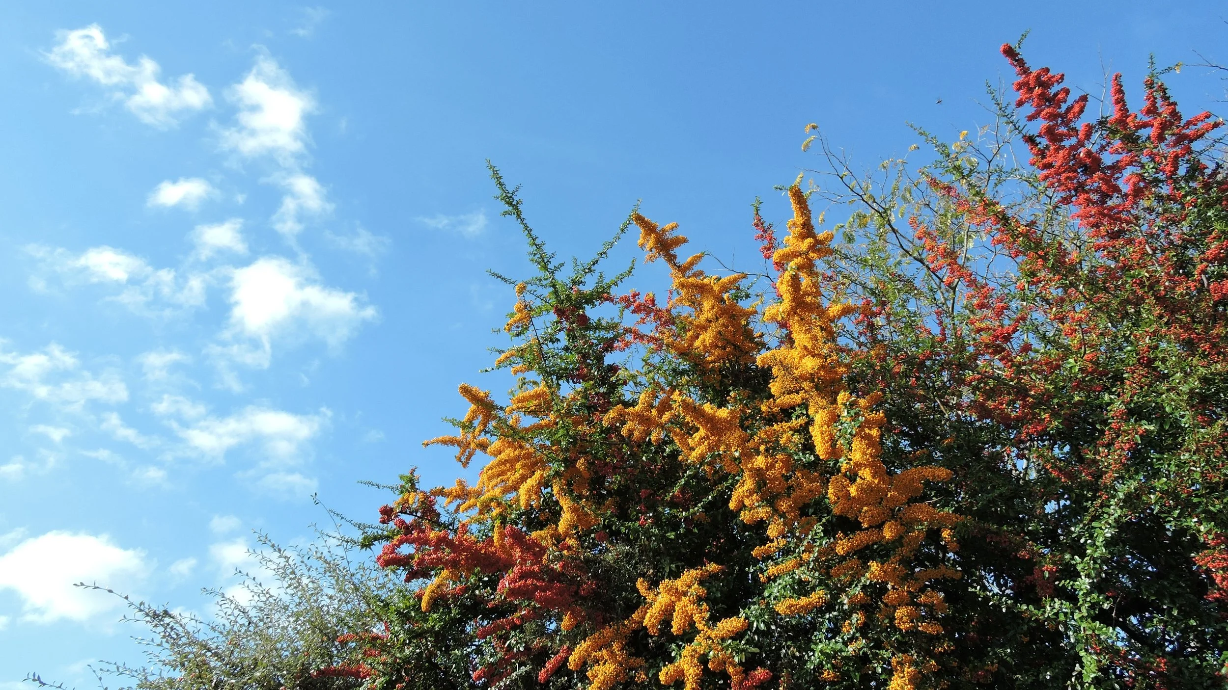 Causes et Conséquences