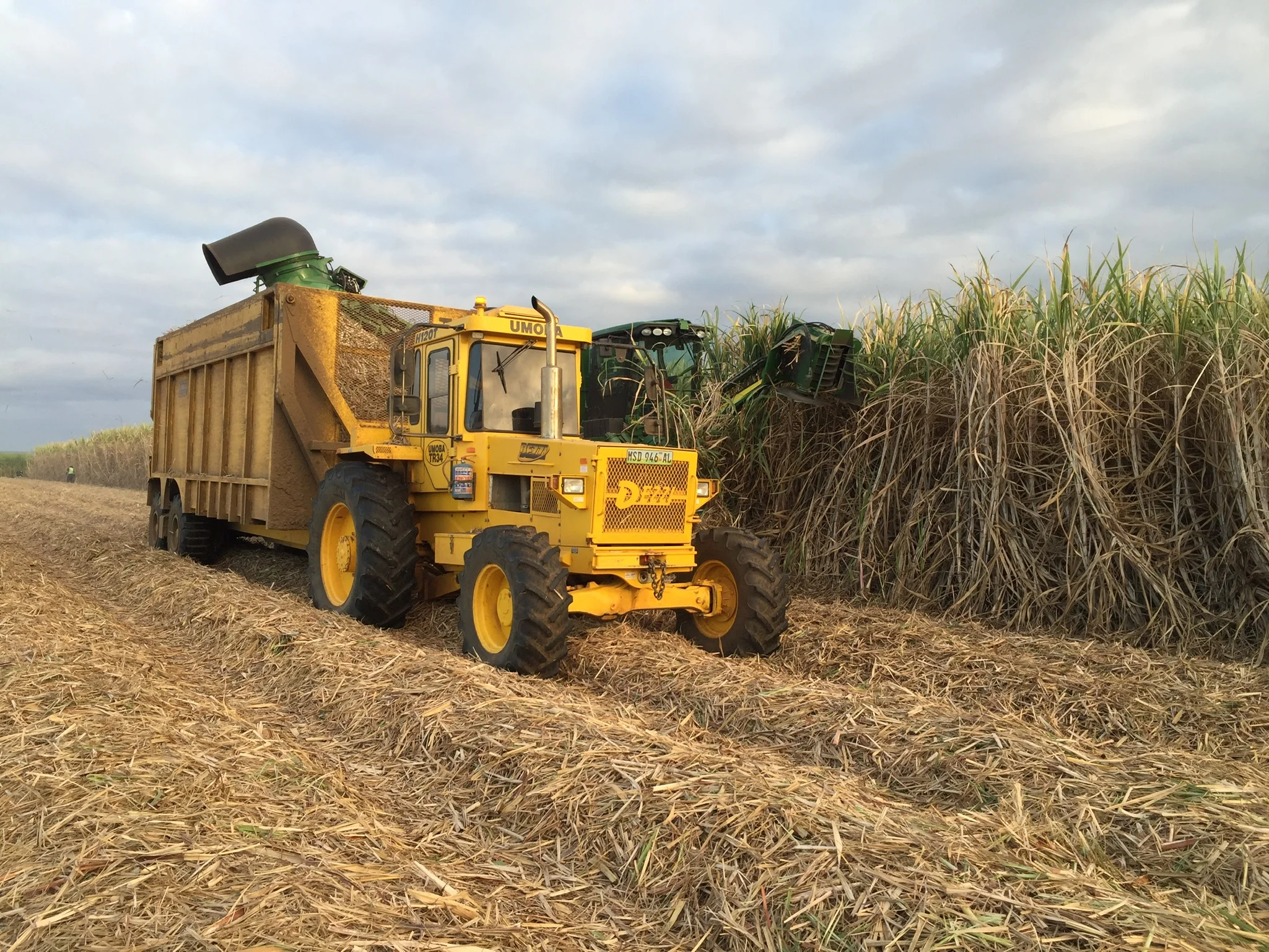 We are UMOBA, we are Sugarcane. 