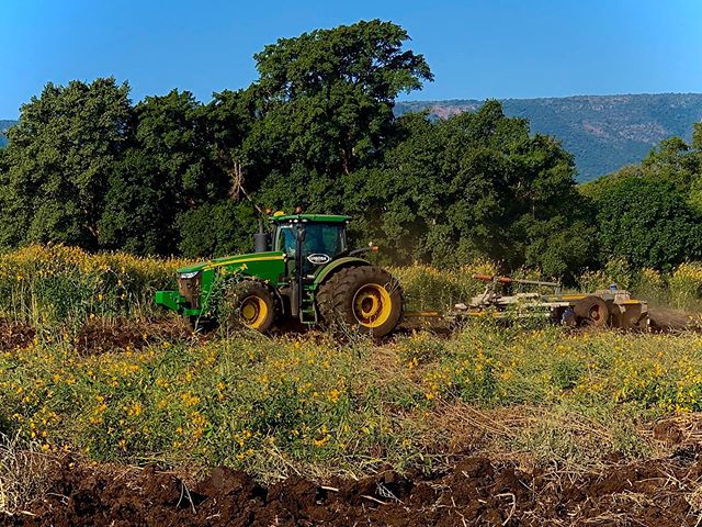 Operating for #20years in the #agricultural industry, we have seen a lot change. The question is, have your methods of #landpreparation changed? 🌾🚜🌲 Contact us today about our precision land preparation services, and read the #blog to find out mor