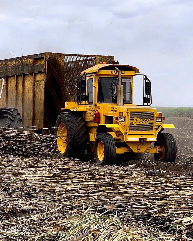 Meet the machine: The #Dezzi Hauler Tractor - often going unnoticed next to the might of our John Deere Chopper harvester, this trusty machine is essential to the process of mechanical harvesting and transportation of Burnt, green, whole-trash and wh