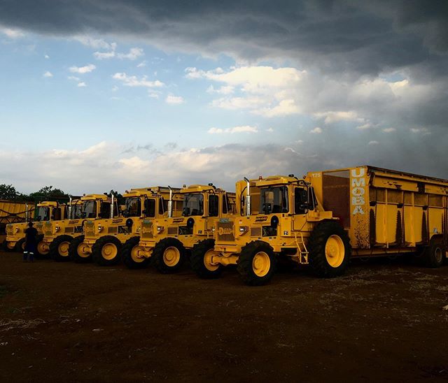 Let's talk #BuiltAfricaTough, let's talk #DEZZI Equipment 🚜🇸🇿🌾🌲 Read the blog now (Link in the bio)