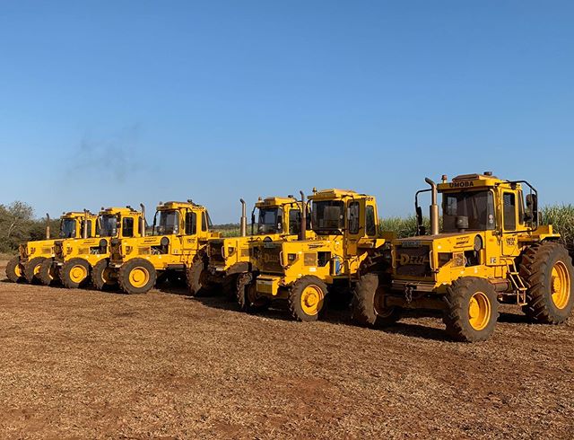 Not all tractors are built equal, and not all tractors are
#BuiltAfricaTough - Contact us today as the official dealer for Dezzi plant equipment in Eswatini &amp; Mozambique
🚜🇸🇿 Find out more now (Link in the bio)