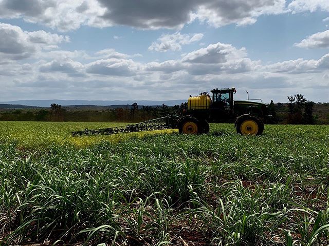 1,2,3 - Solved 🚜🌾 No matter your needs, we have the solution with our 3 #CropSpraying options. Contact us now for a free quote and find out more information (link in the bio)