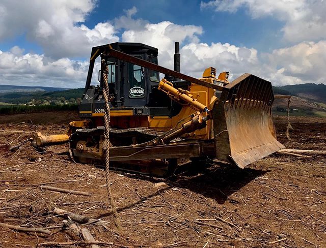Contact us now for our end of year specials on plant equipment, and finish that project before the year is up 🚜 
Contact us now (Link in the bio)