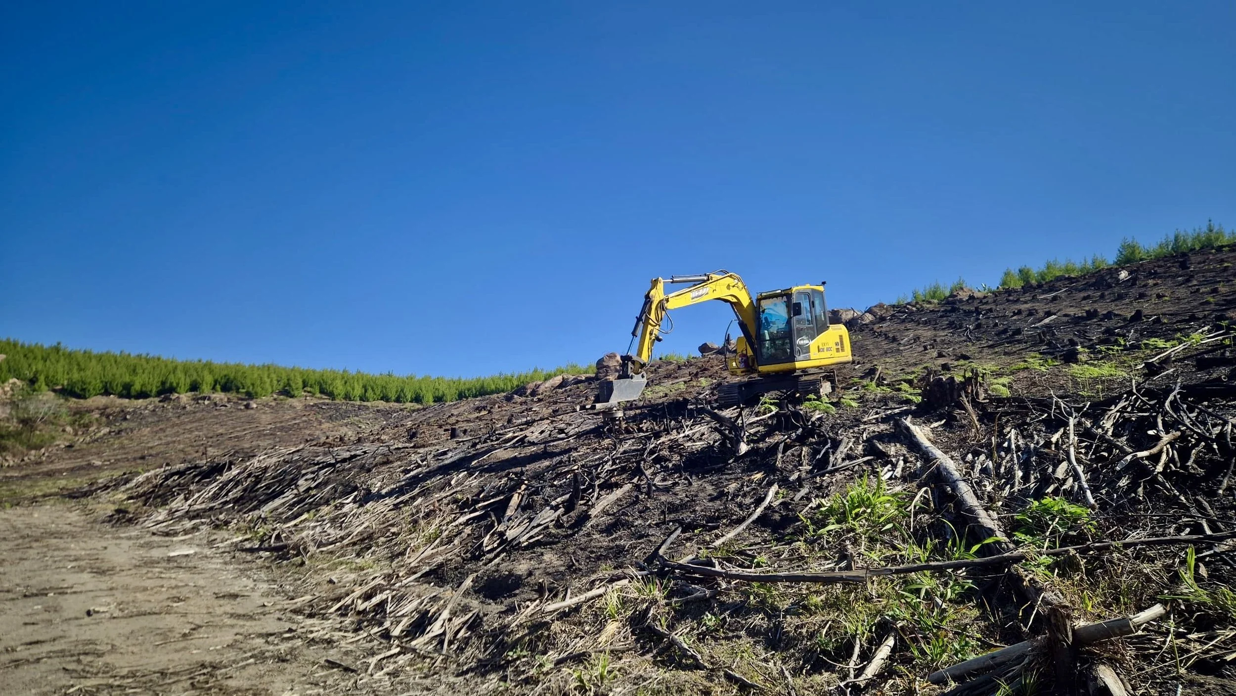 Sustainability Is a System, Not a Slogan