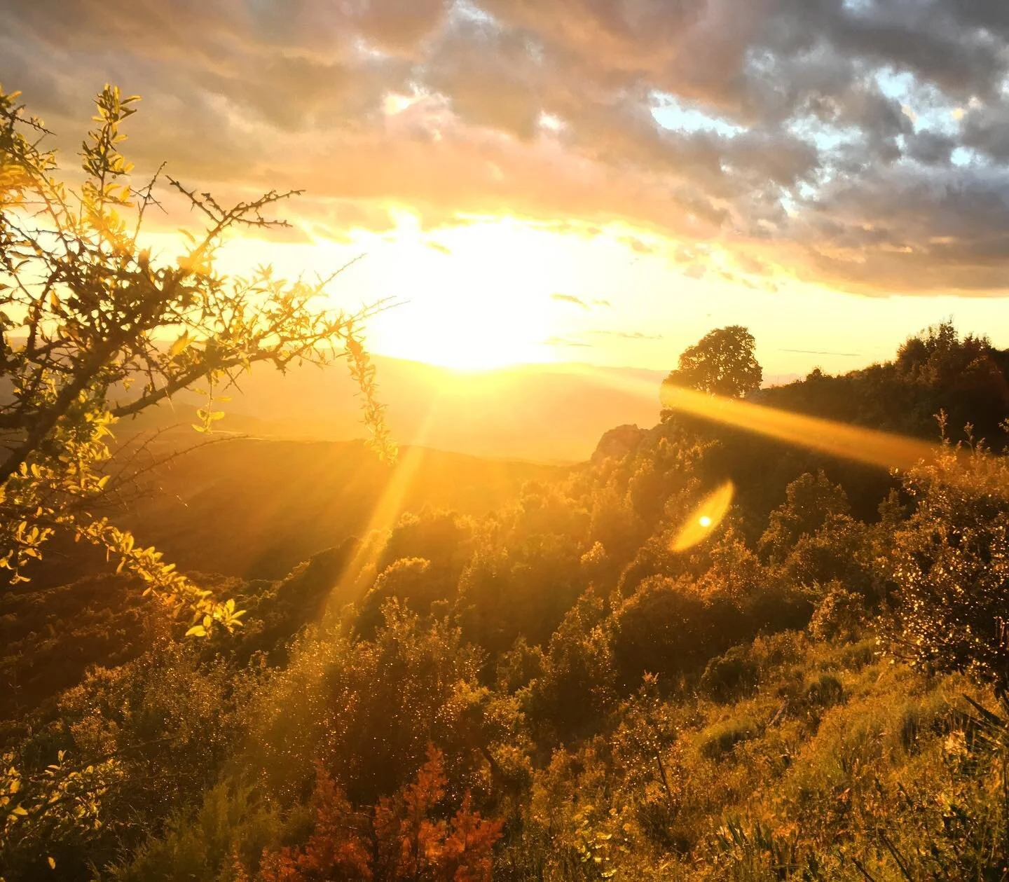 MONTALBO AL TRAMONTO