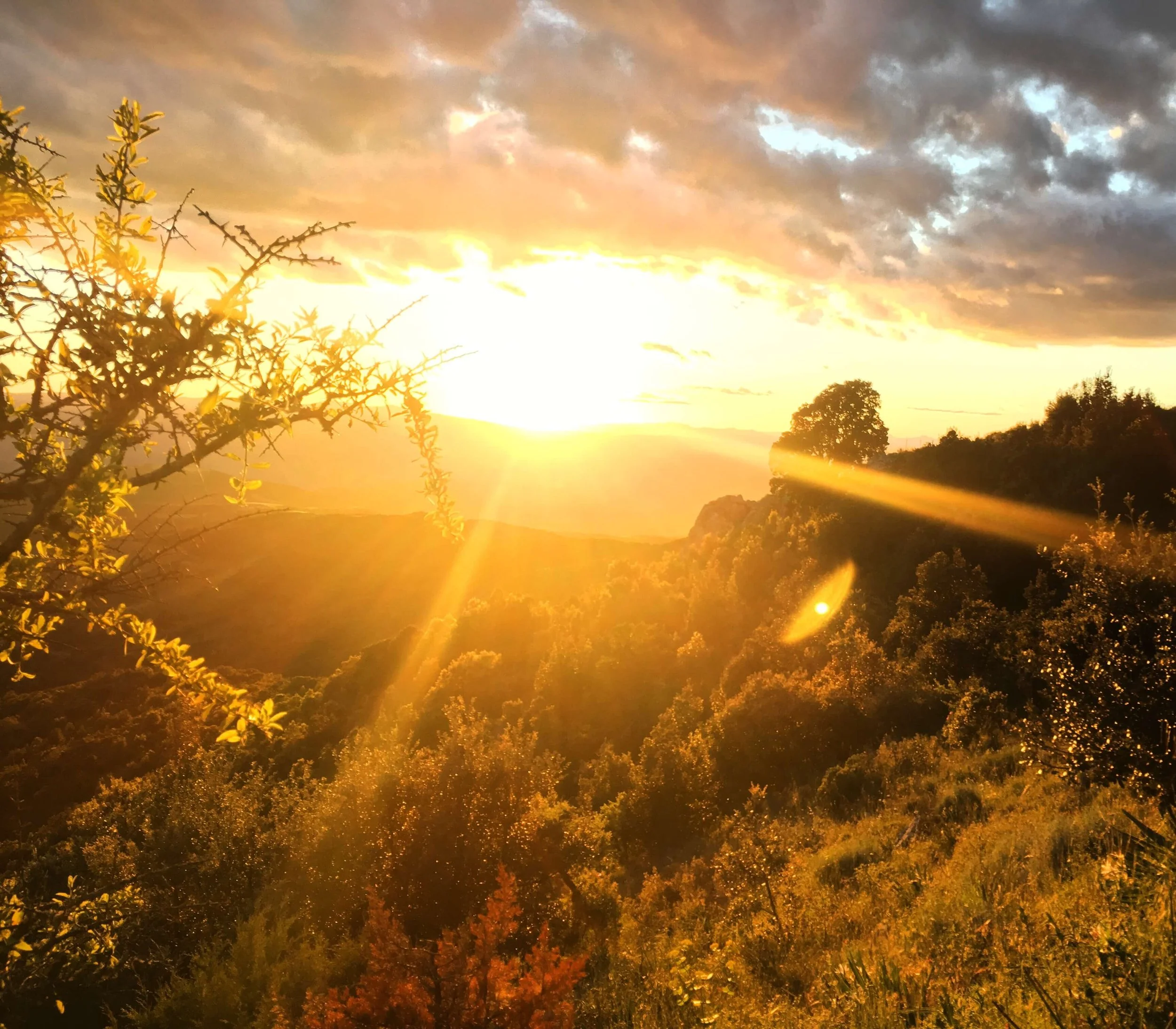 Montalbo Sardegna Tramonto sole.jpeg