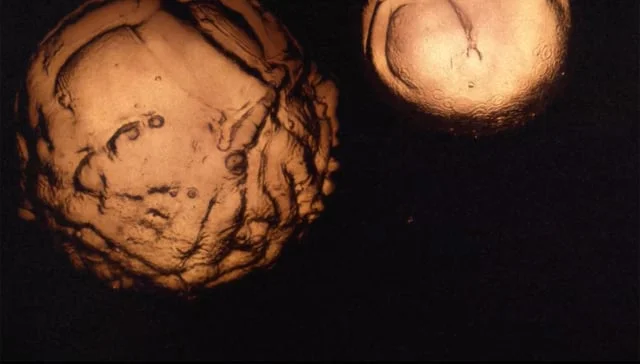 Cerebral Clouds | Dream Keeper Show