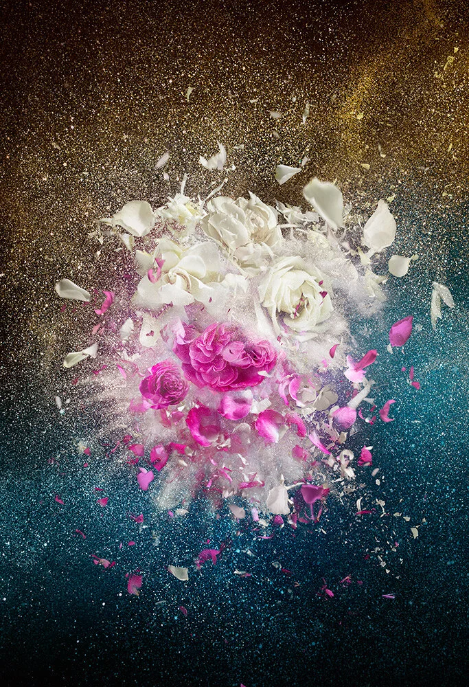 christurner-EveDuet_White-Pink-Flower_Background.jpg