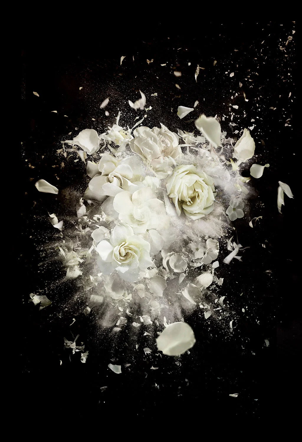 christurnerEveDuet_WhiteFlower_Background_w4c_WhiteFlowerNoGlitter.jpg