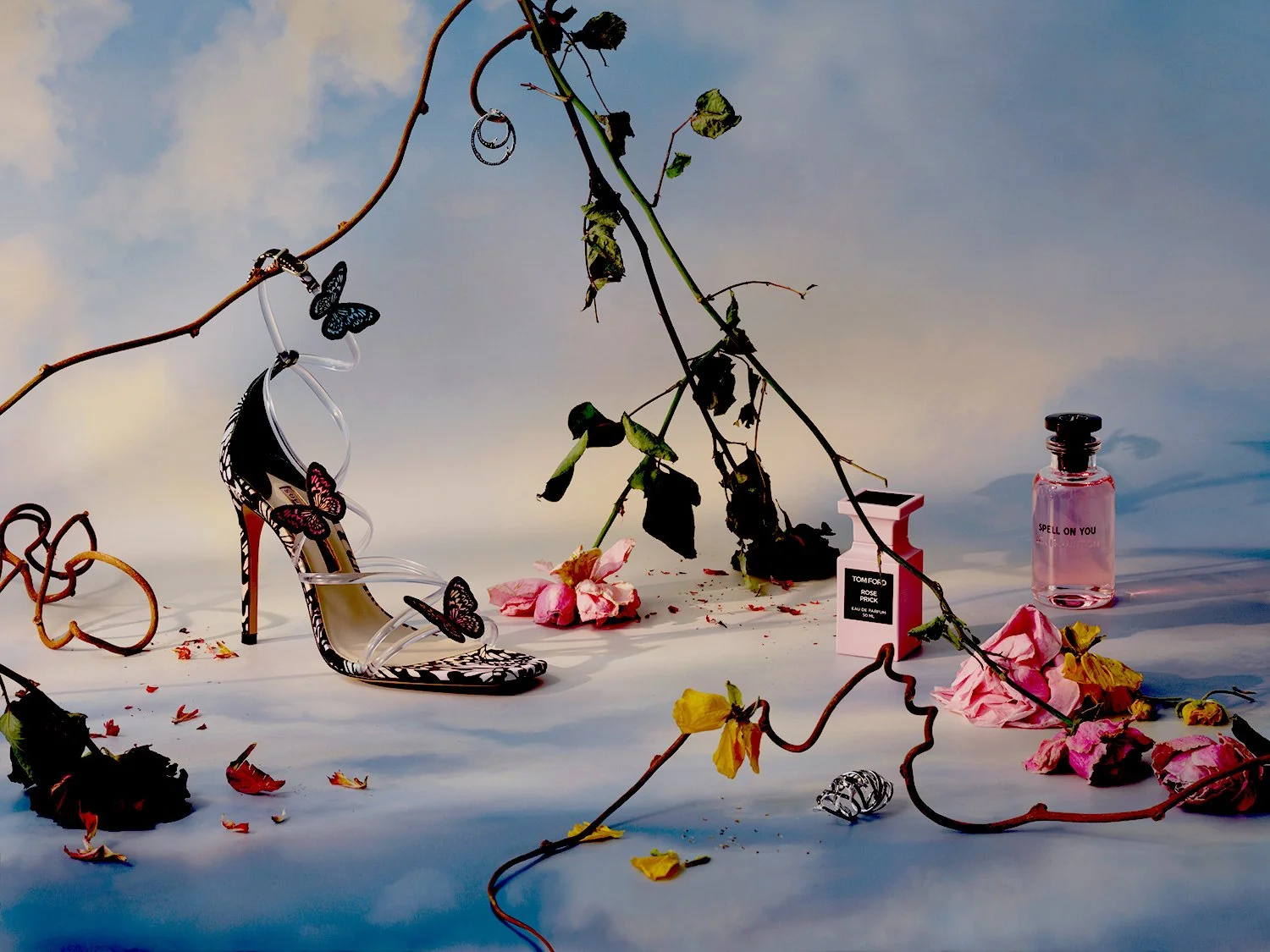 christurner-Sleeping Beauty-Schon3.jpg